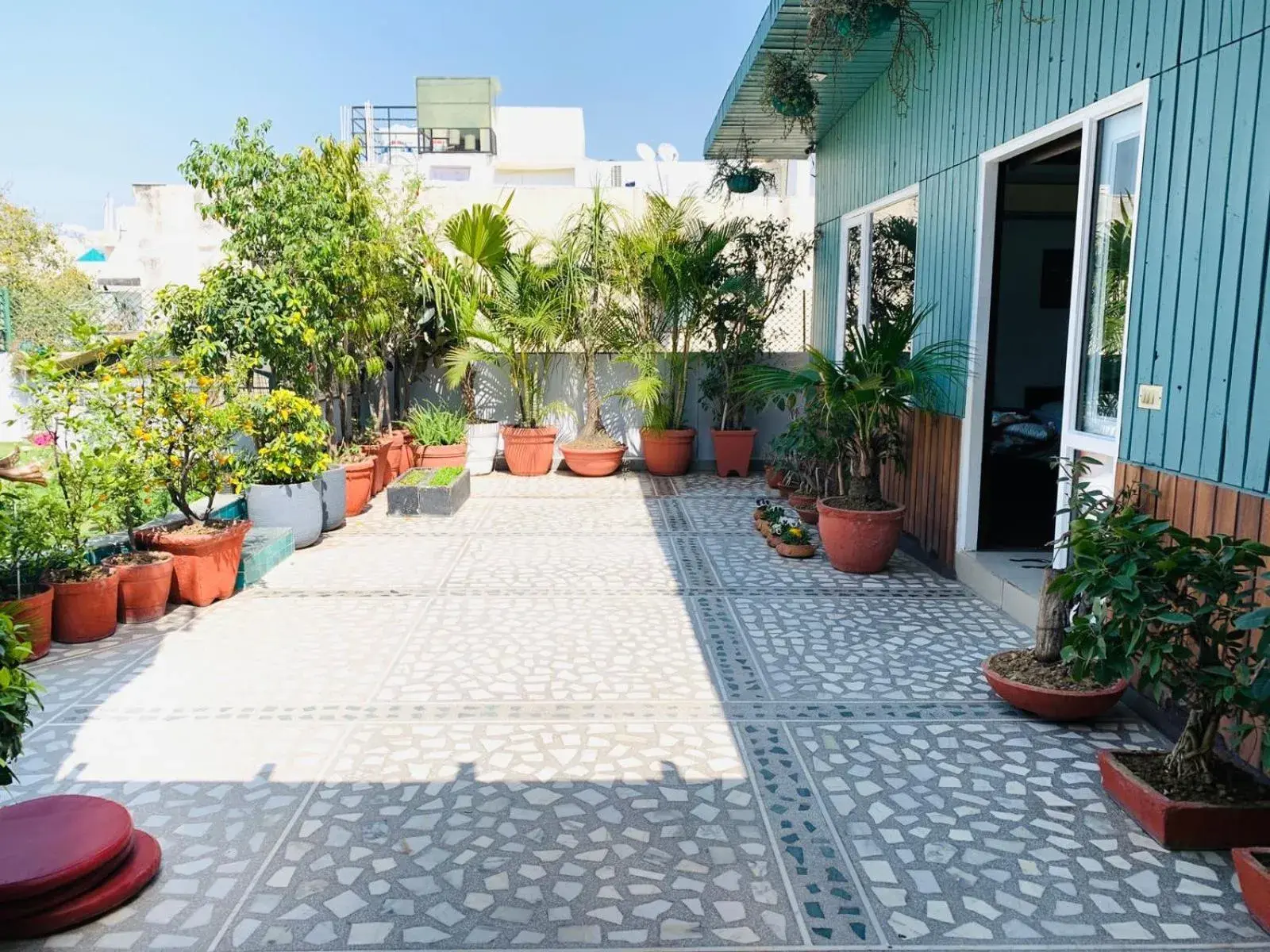 Garden view in Vandana's Bed and breakfast Garden view in Vandana's Bed and breakfast