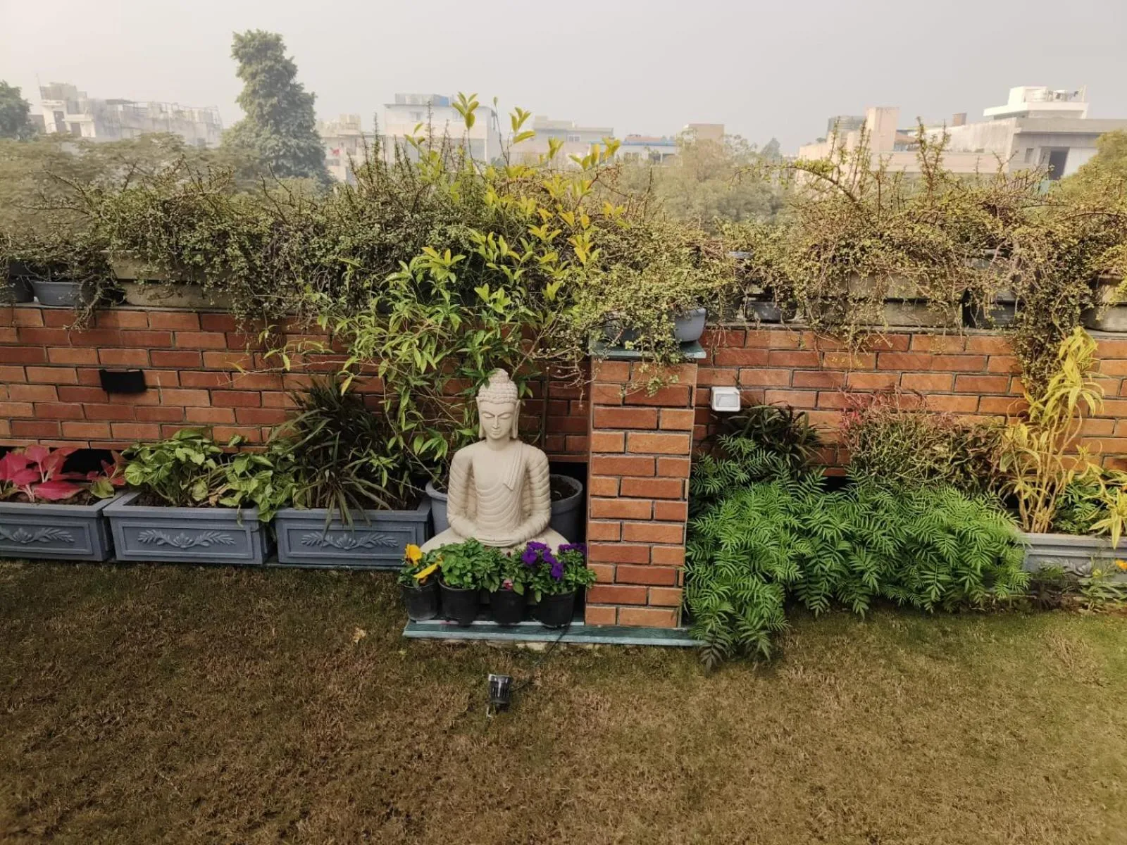 Garden view in Vandana's Bed and breakfast