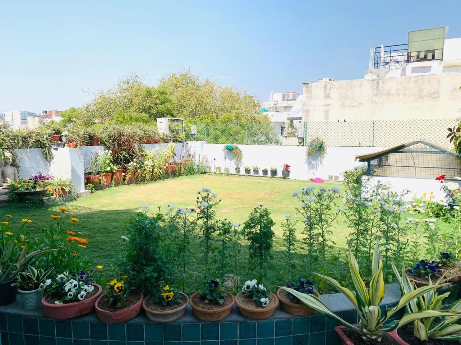 Garden in Vandana's Bed and breakfast