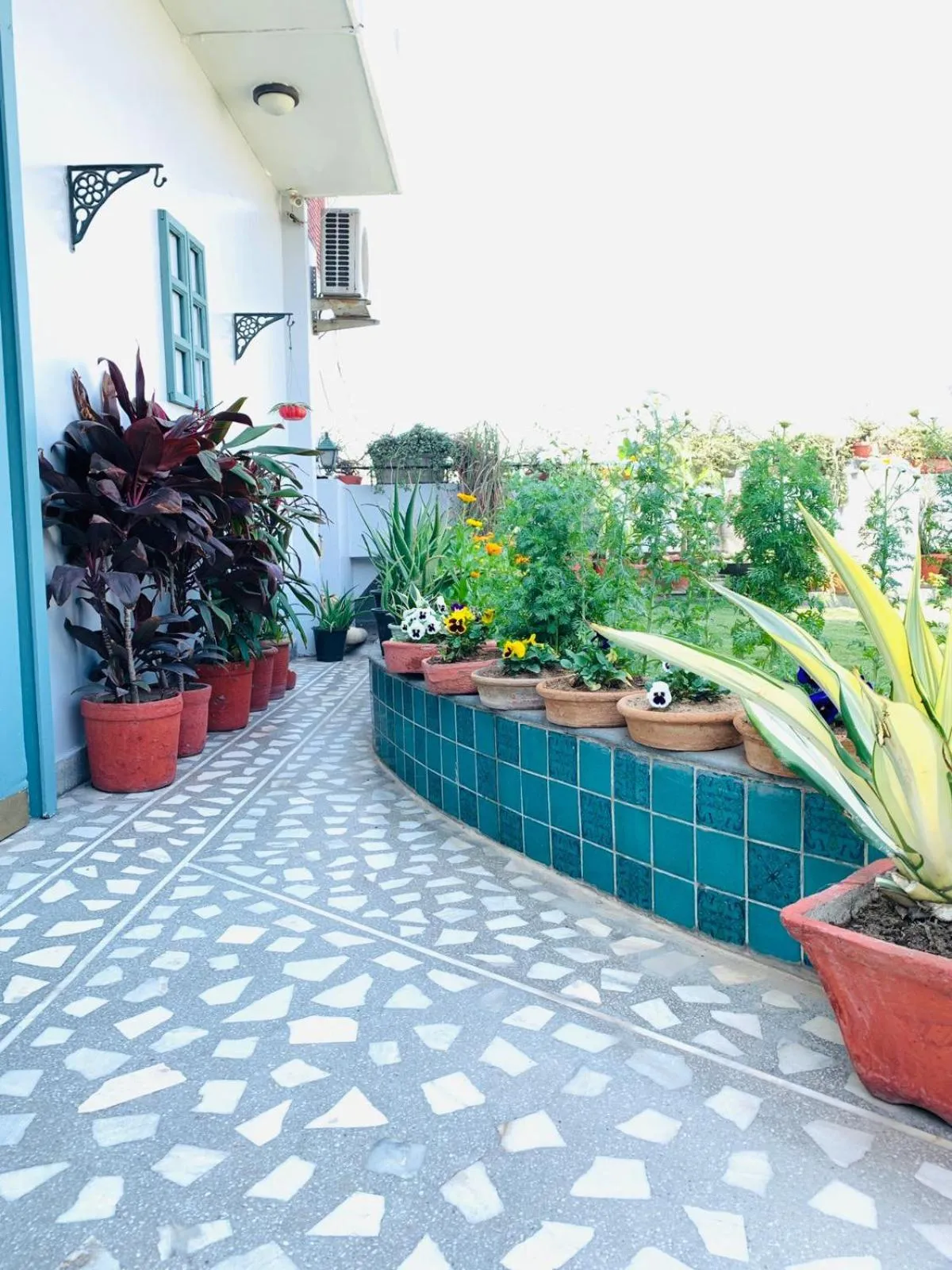 Garden in Vandana's Bed and breakfast