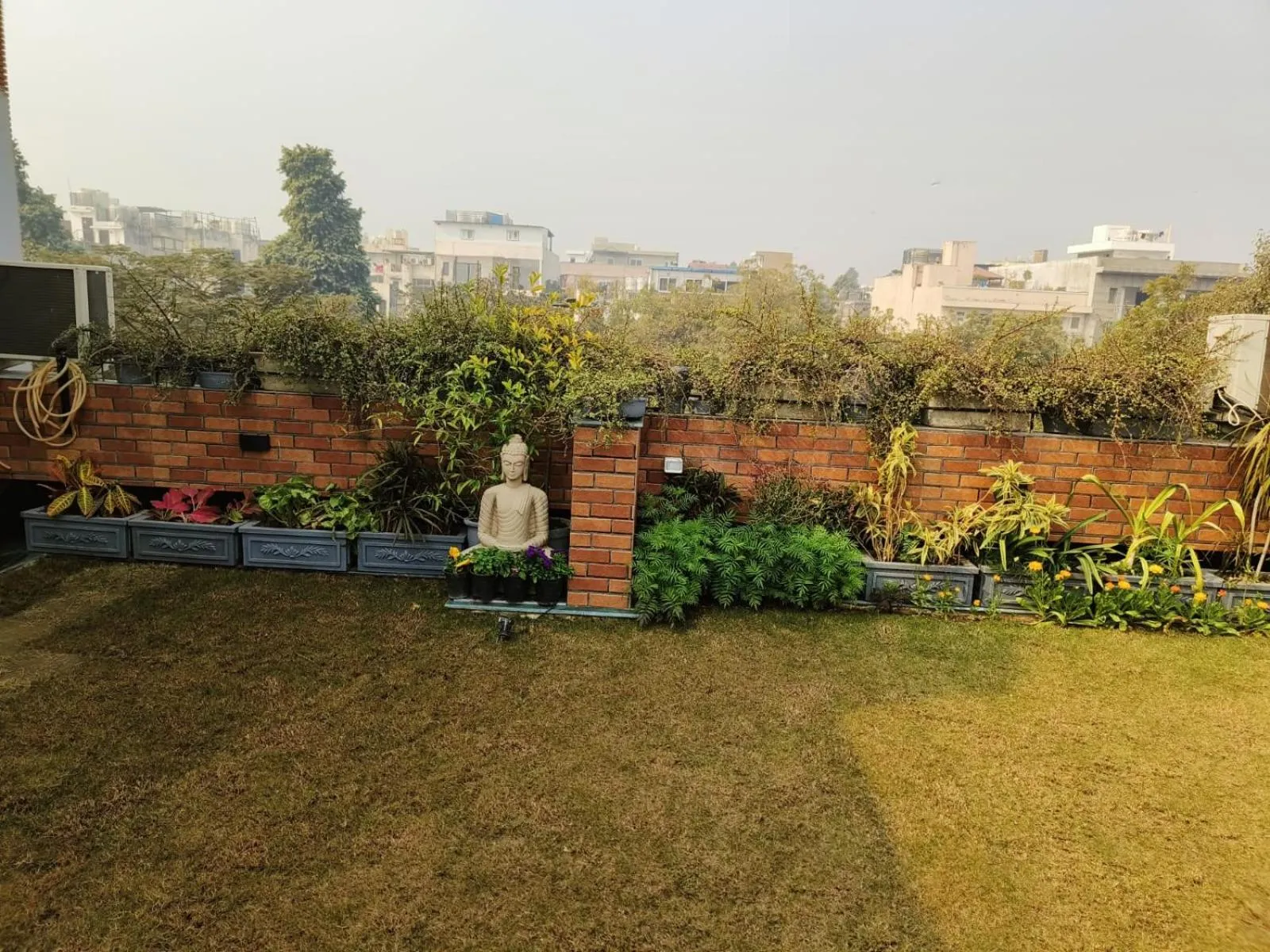 Garden in Vandana's Bed and breakfast