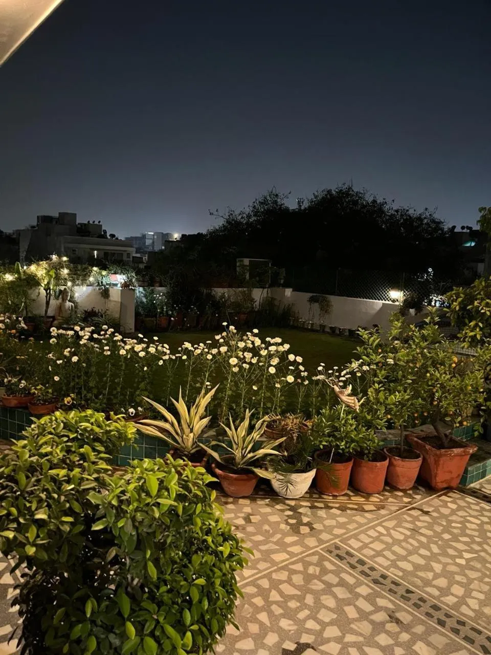 Garden in Vandana's Bed and breakfast