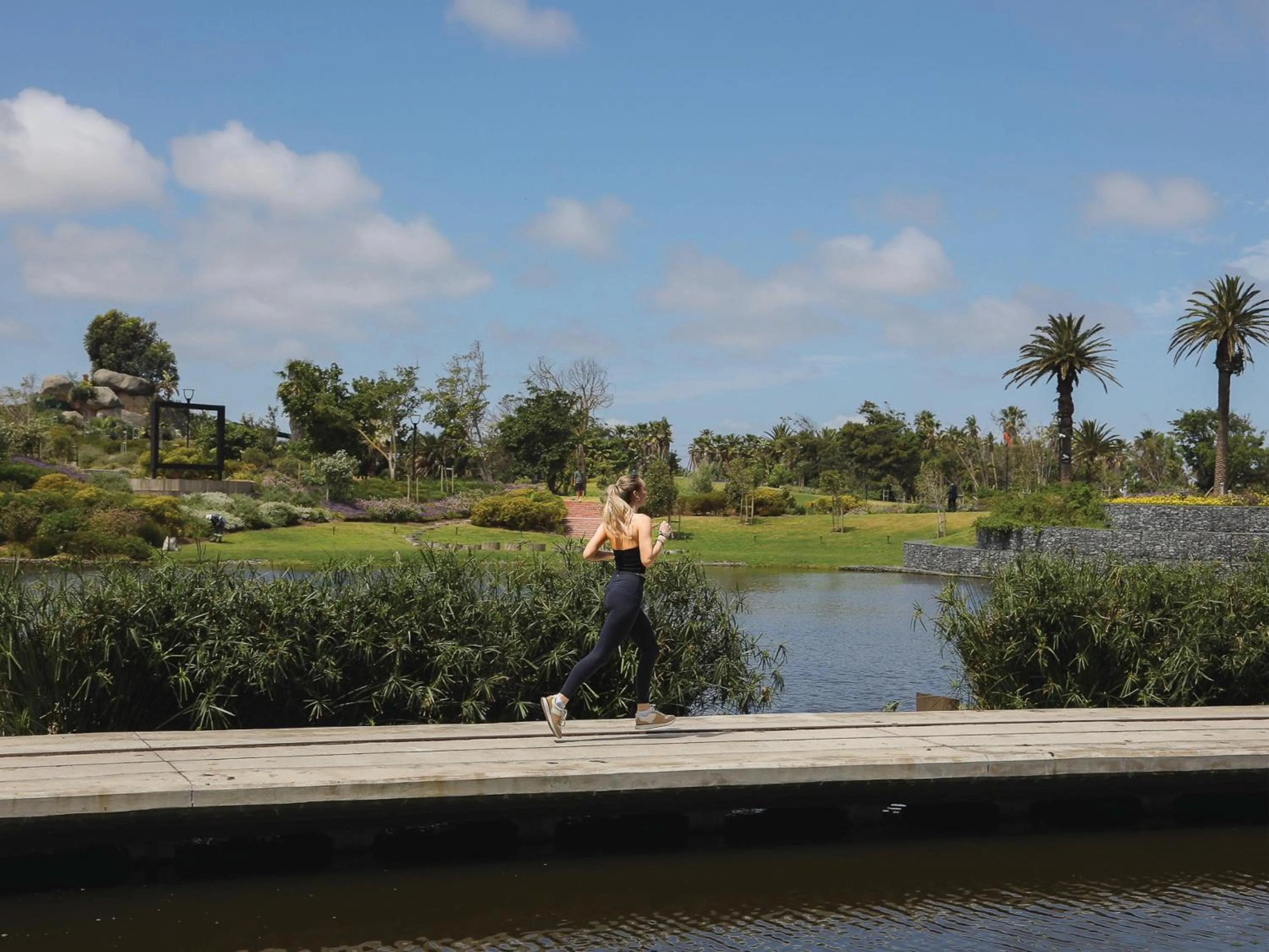 View (from property/room) in Century City Hotel Bridgewater