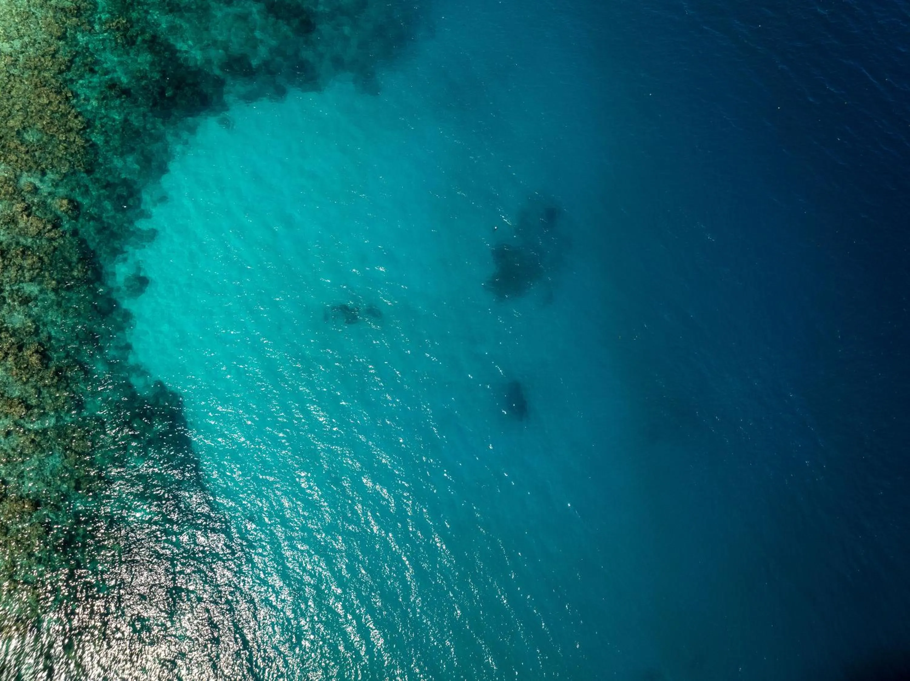 Sea view in Sunshine Marine Lodge