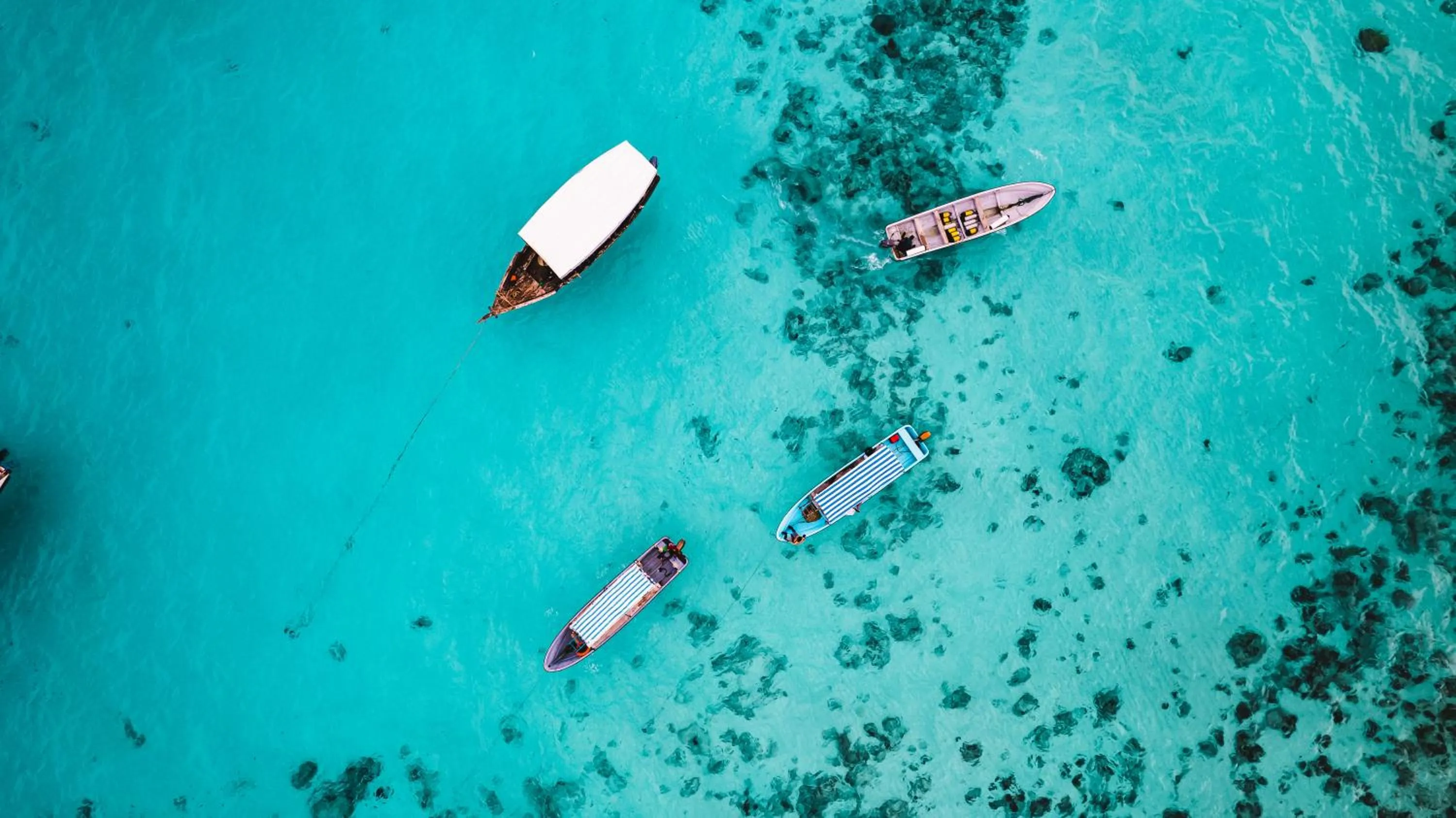 Natural landscape in Sunshine Marine Lodge