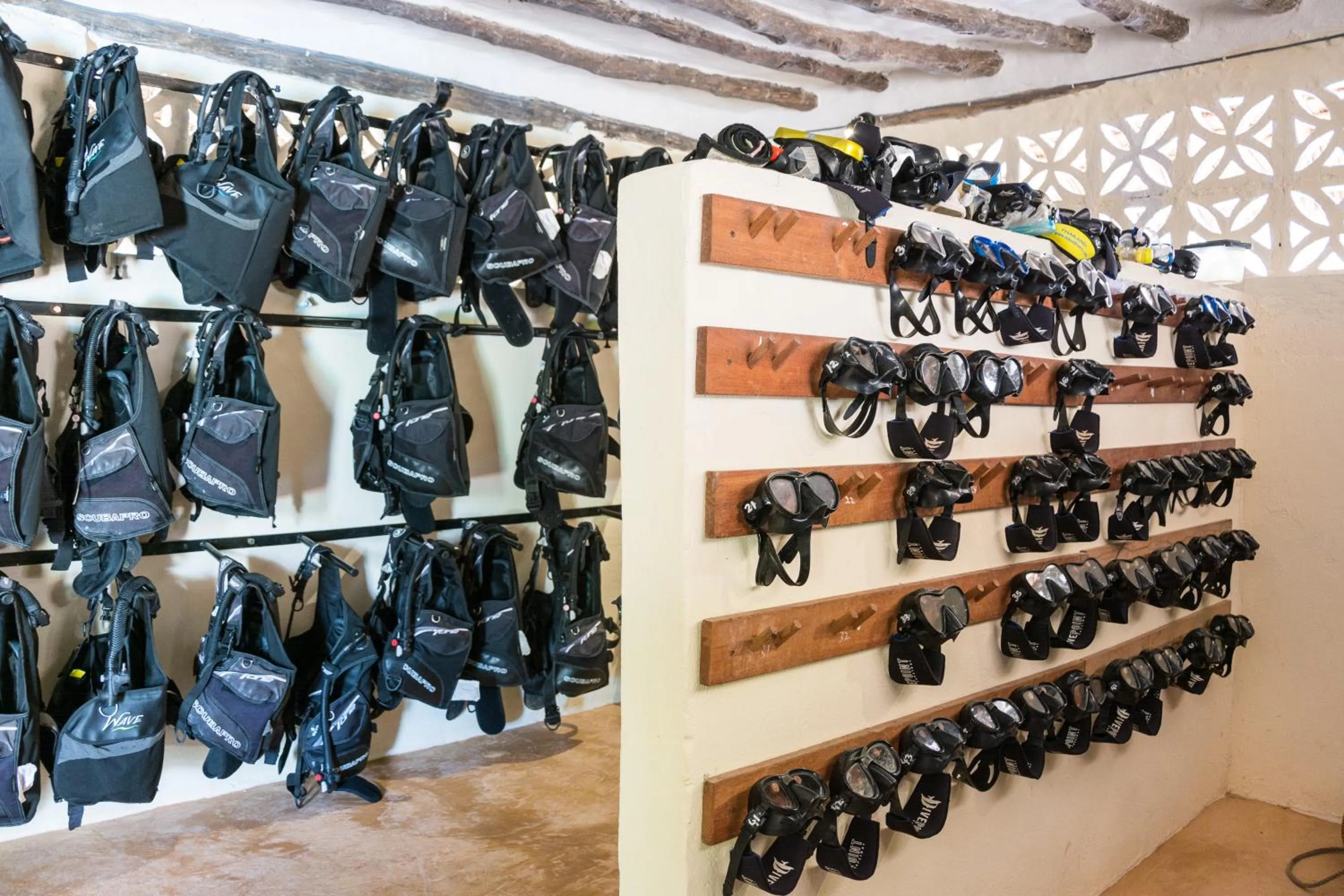 Snorkeling in Sunshine Marine Lodge