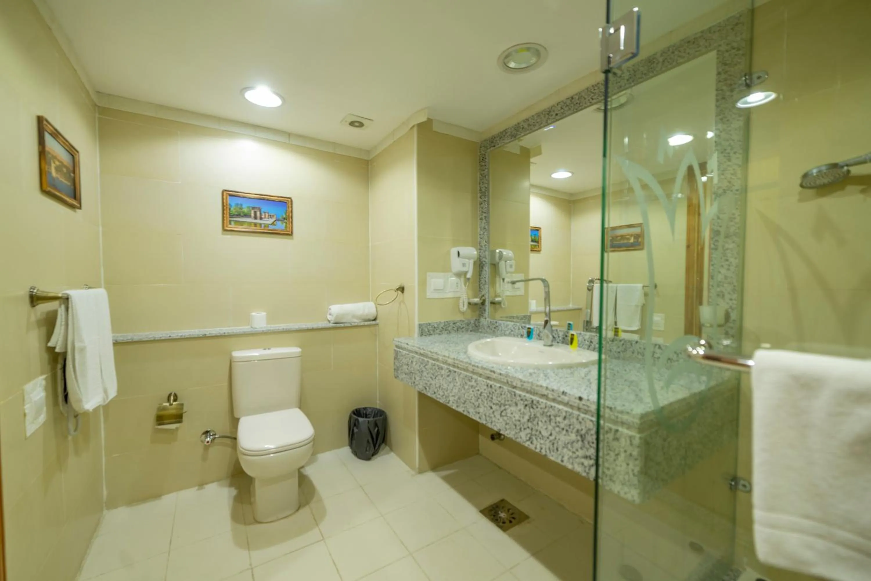 Toilet in Regency Pyramids Hotel