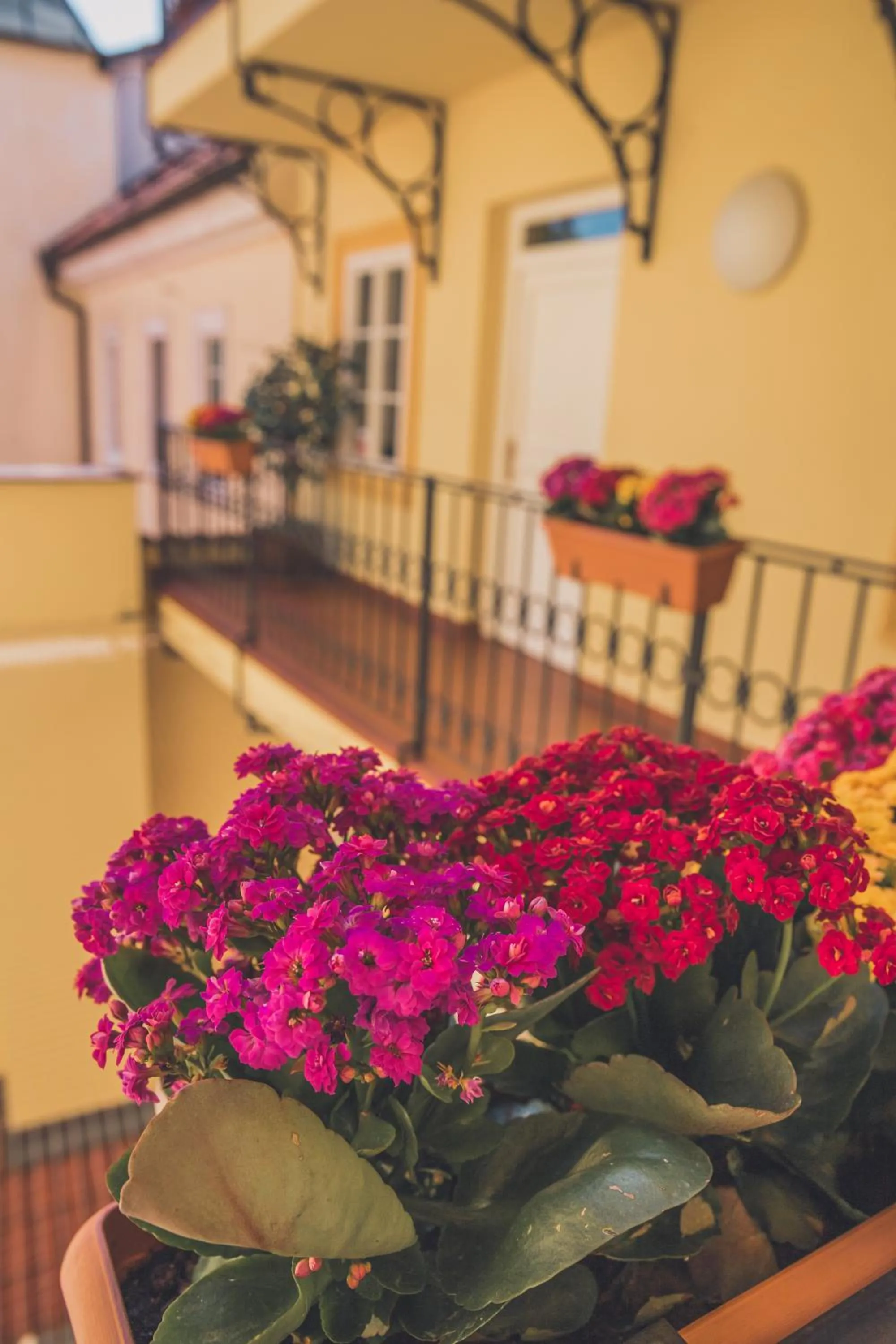 Property building in Boutique Hotel Constans