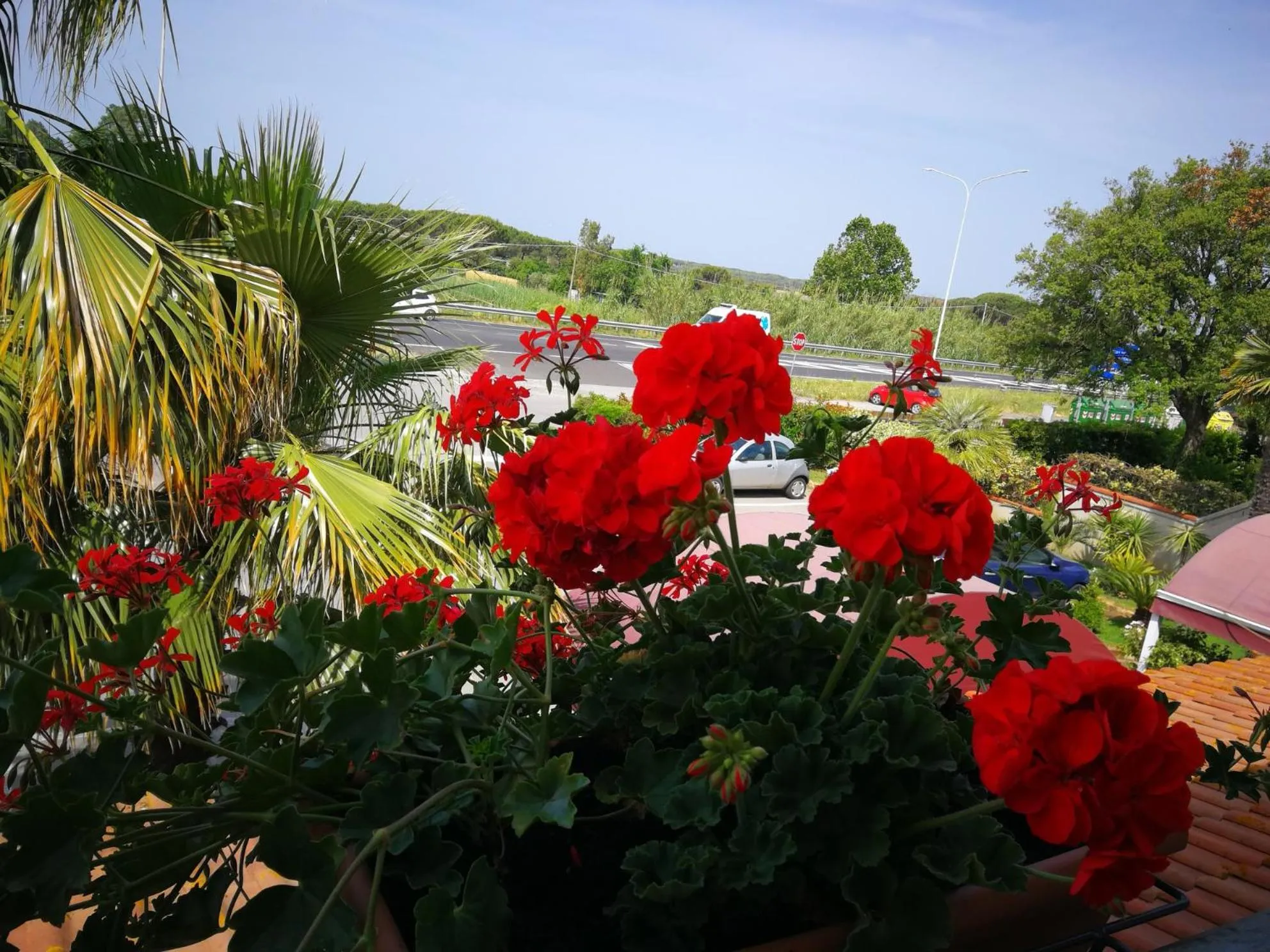 Hotel La Rosa Dei Venti