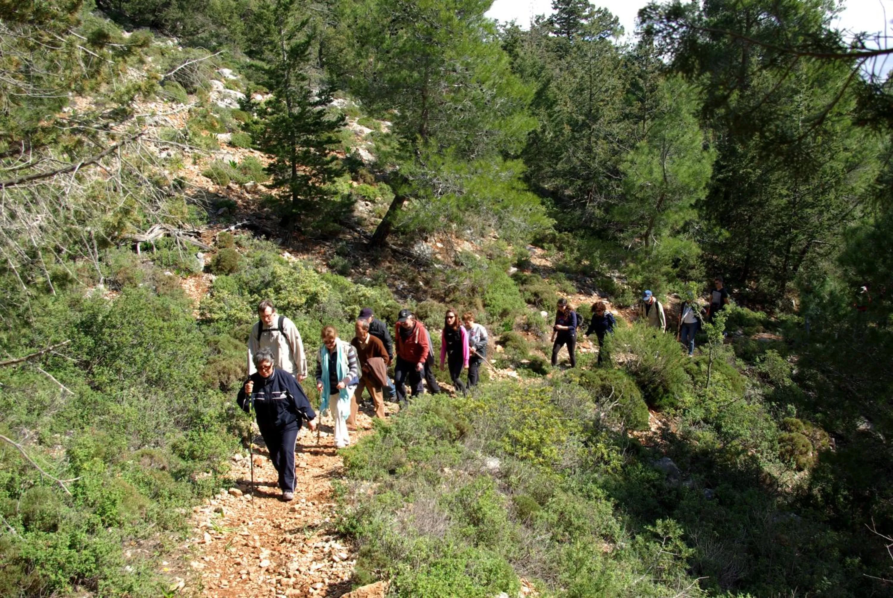 Hiking in Thomas Hotel