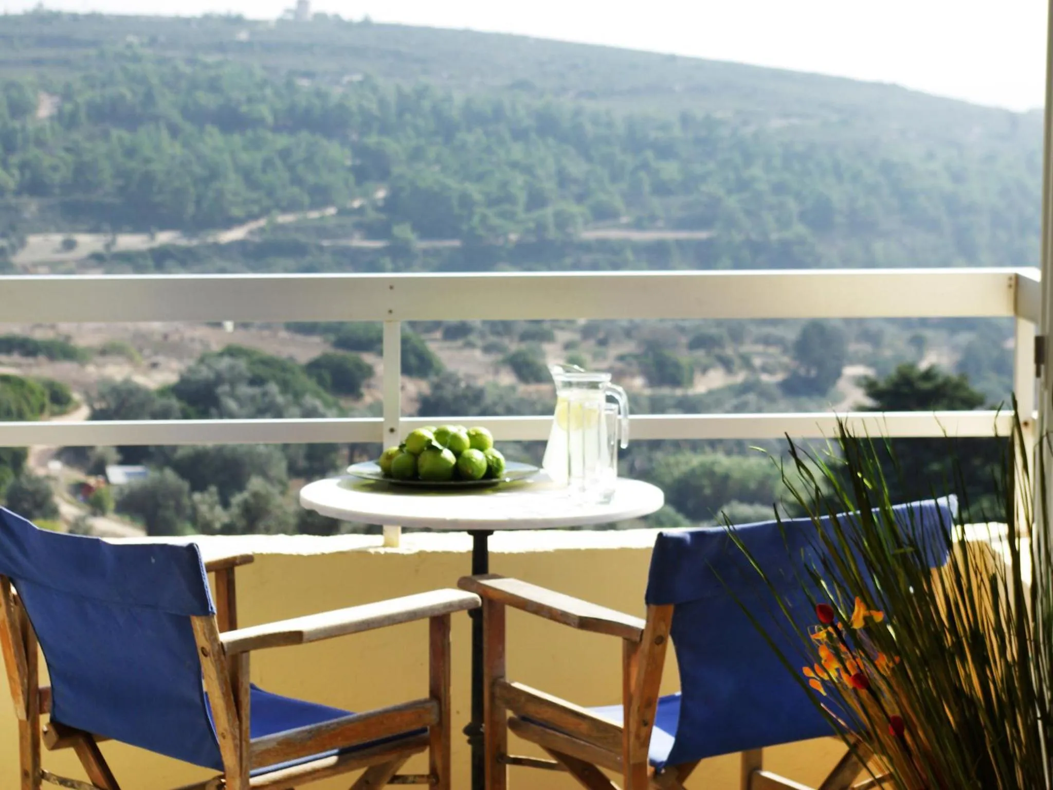 View (from property/room) in Thomas Hotel