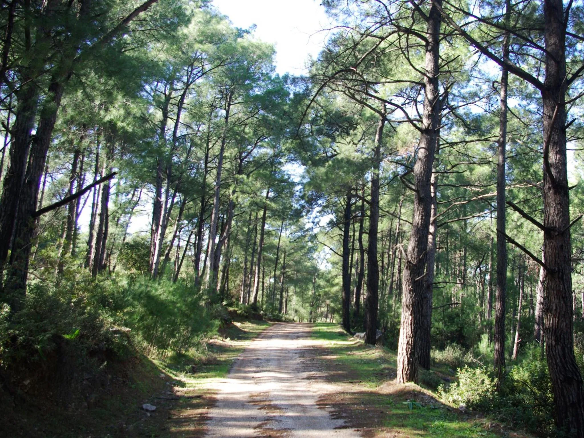 Hiking in Thomas Hotel