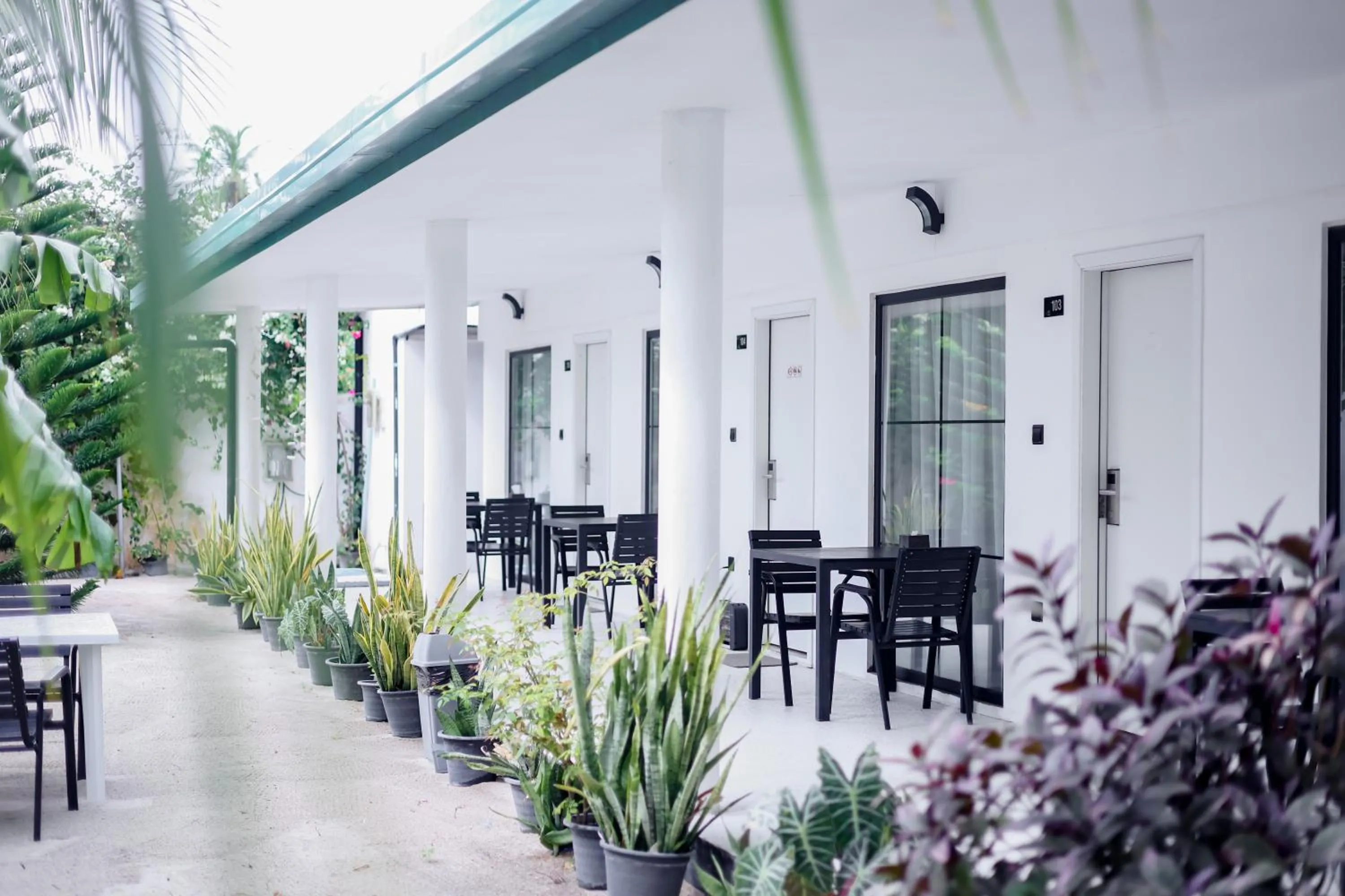 Garden in Belvedere Thoddoo