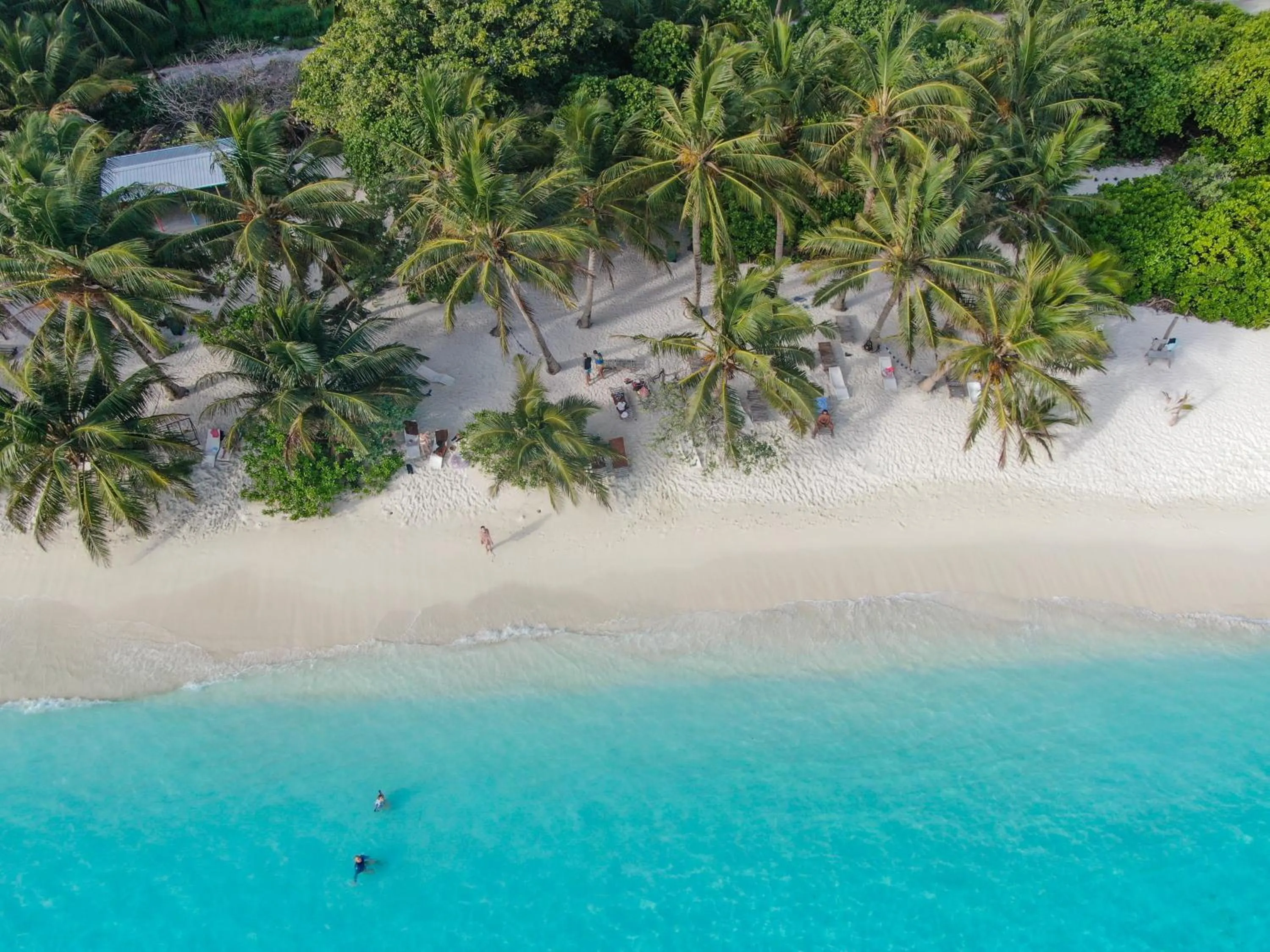 Beach in Belvedere Thoddoo
