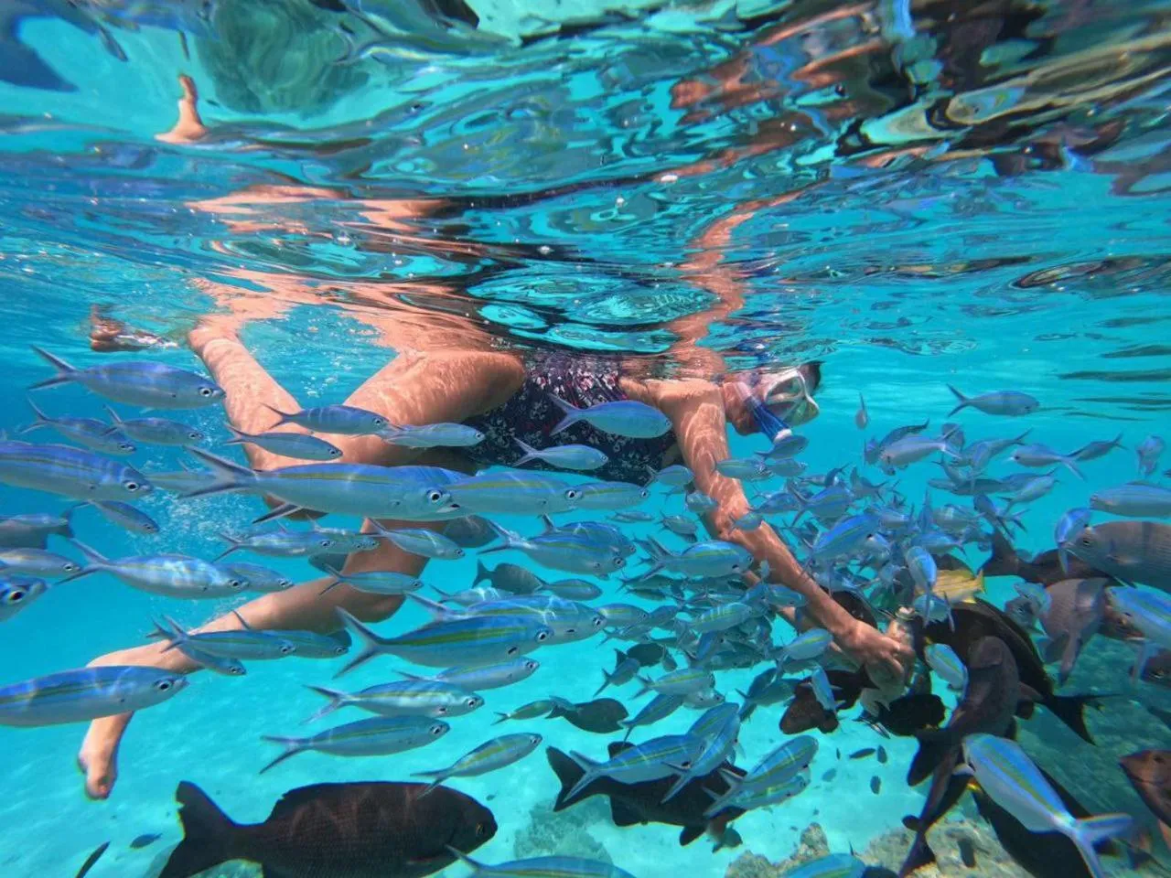 Fishing in Belvedere Thoddoo