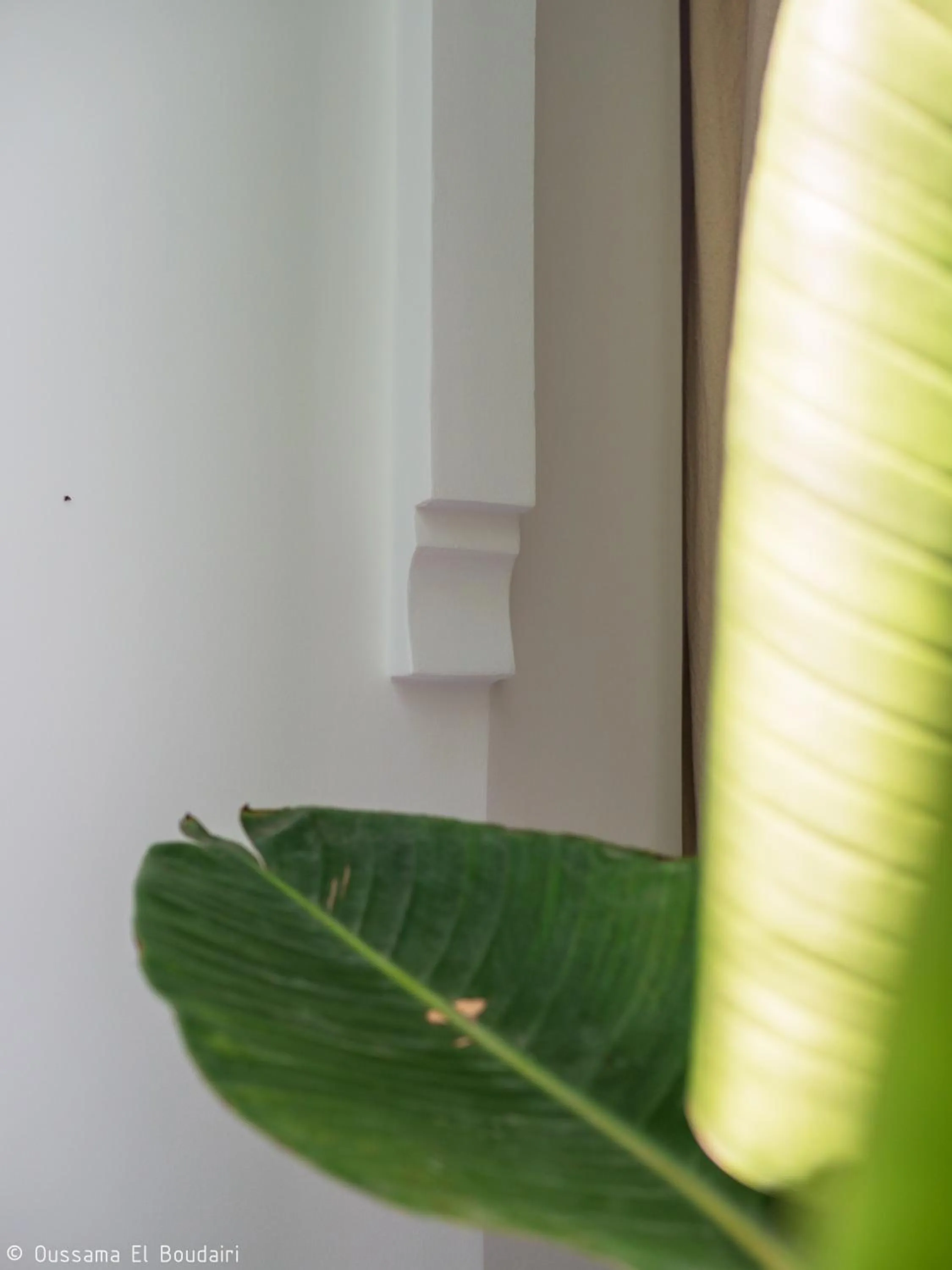 Restaurant/places to eat in Riad Dar Rabiaa