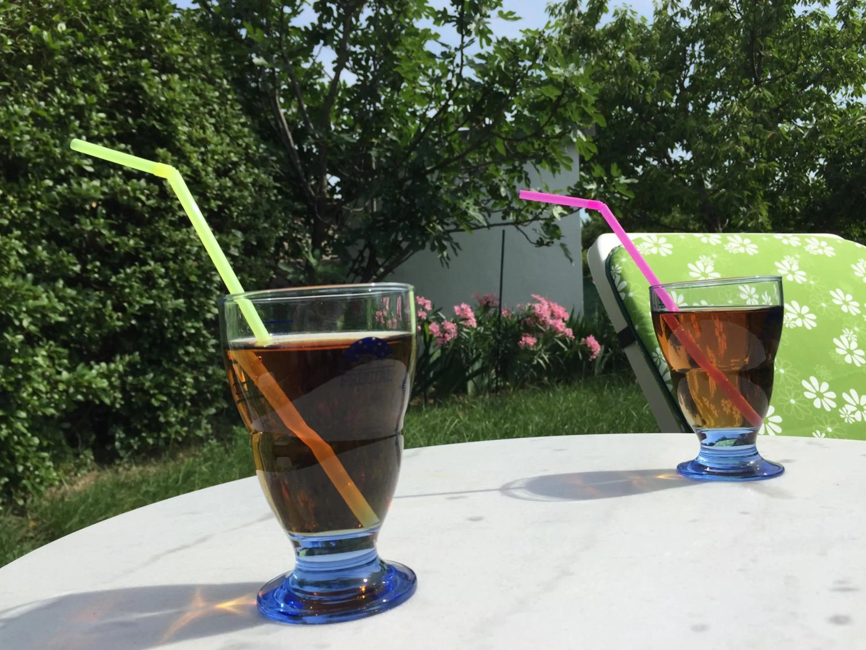 Garden in Guesthouse Varnica