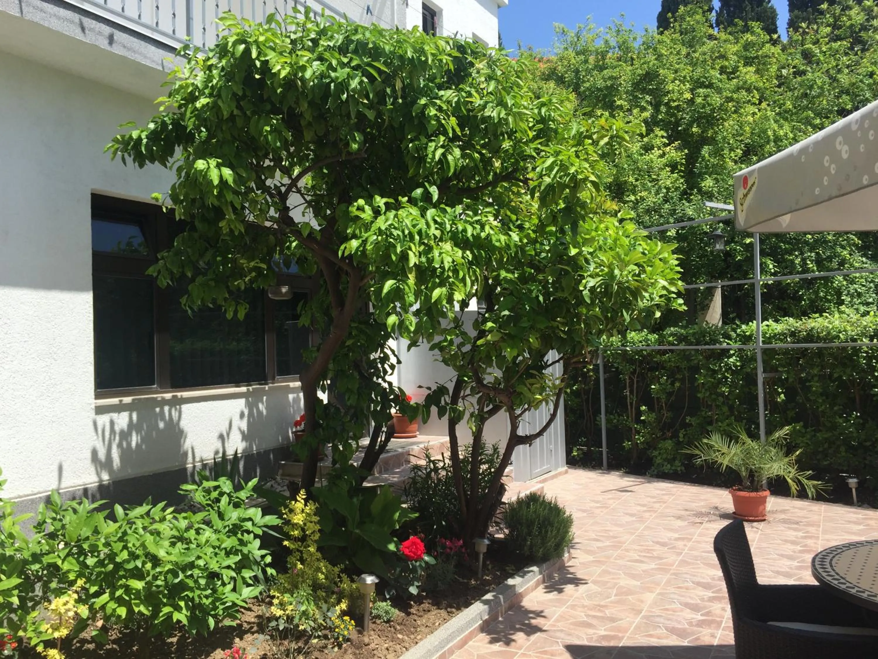 Garden in Guesthouse Varnica
