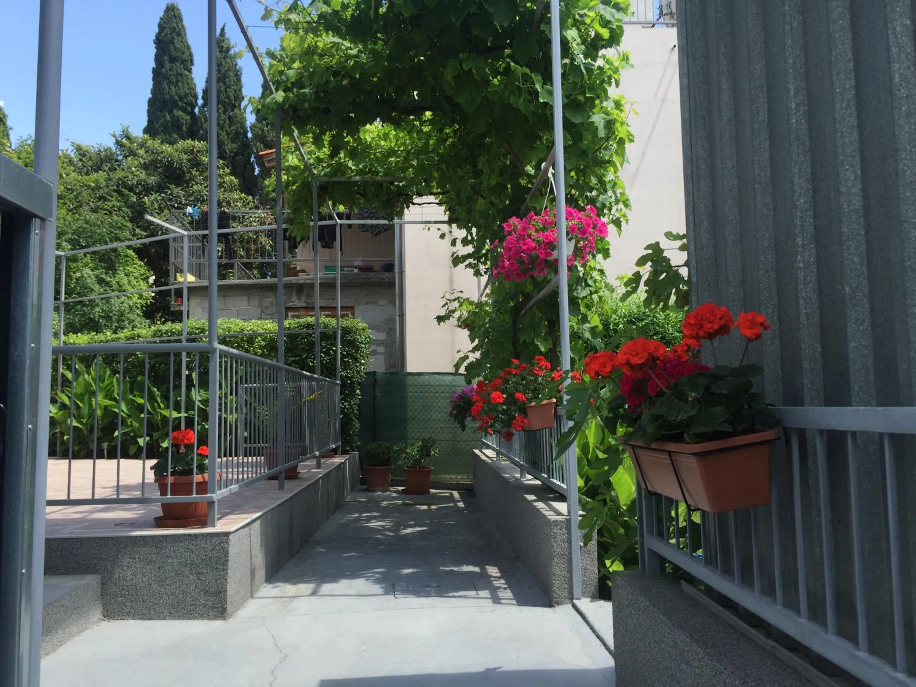 Natural landscape in Guesthouse Varnica