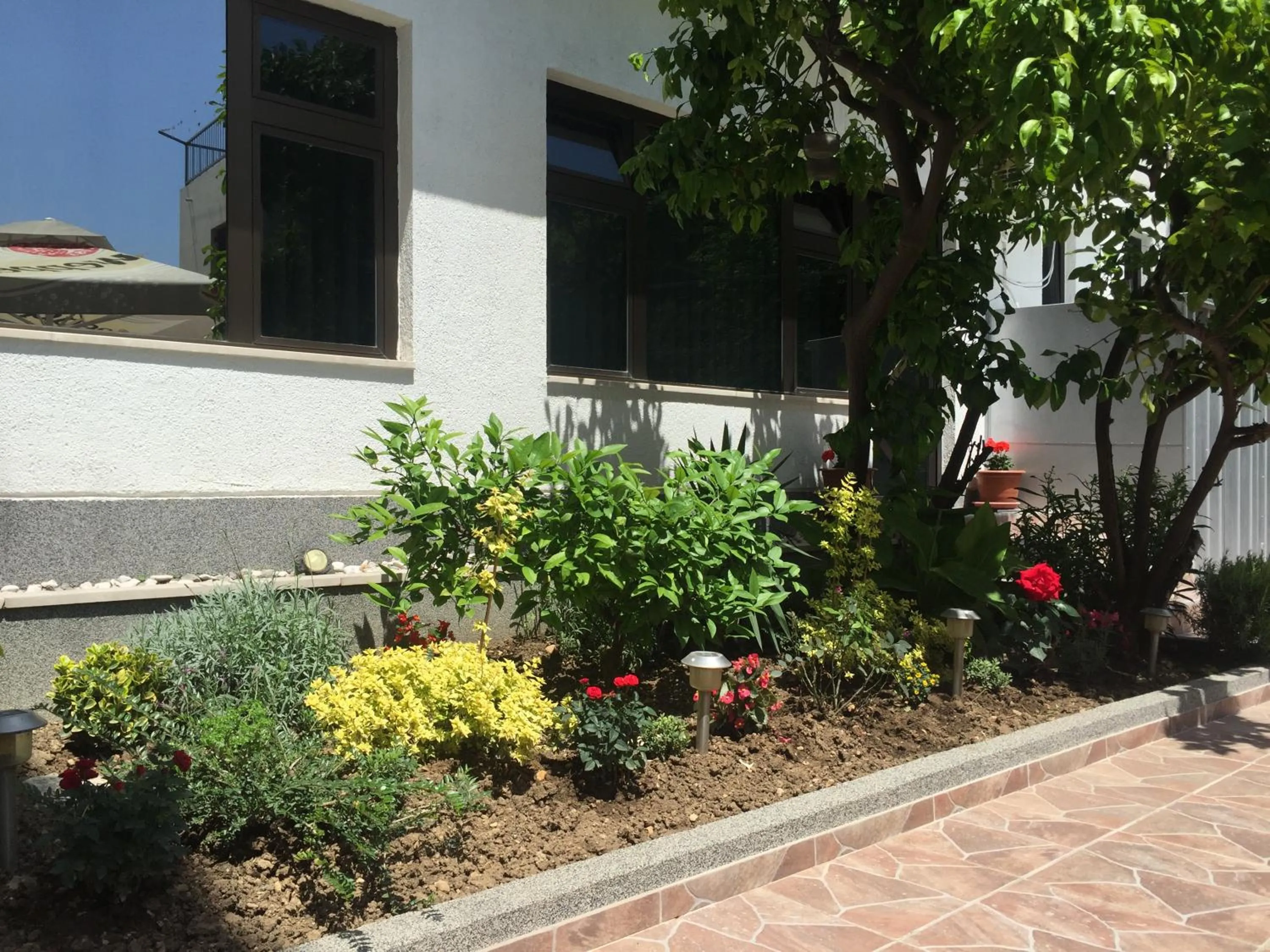 Natural landscape in Guesthouse Varnica