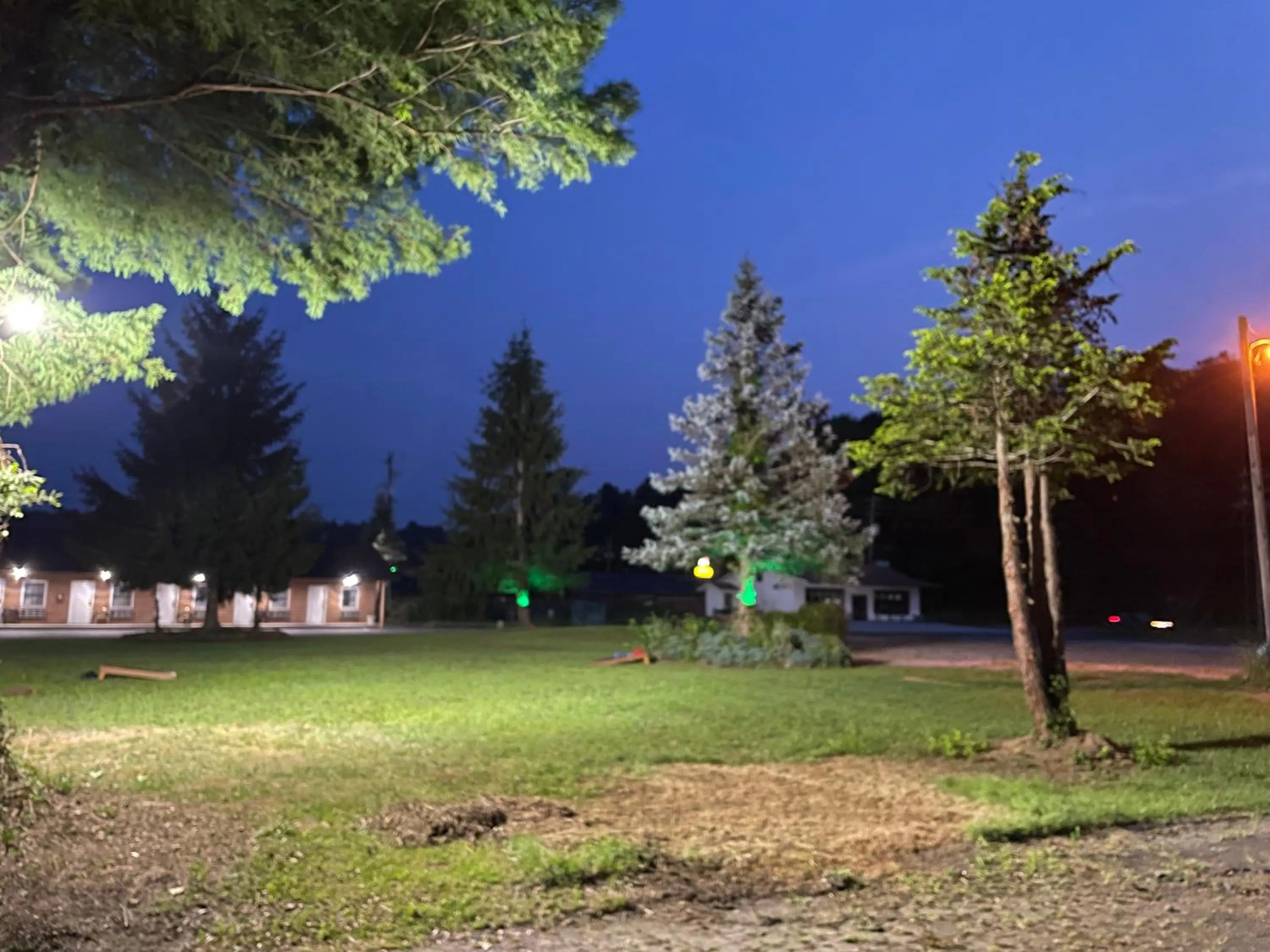 Garden in PINE VALLEY MOTEL