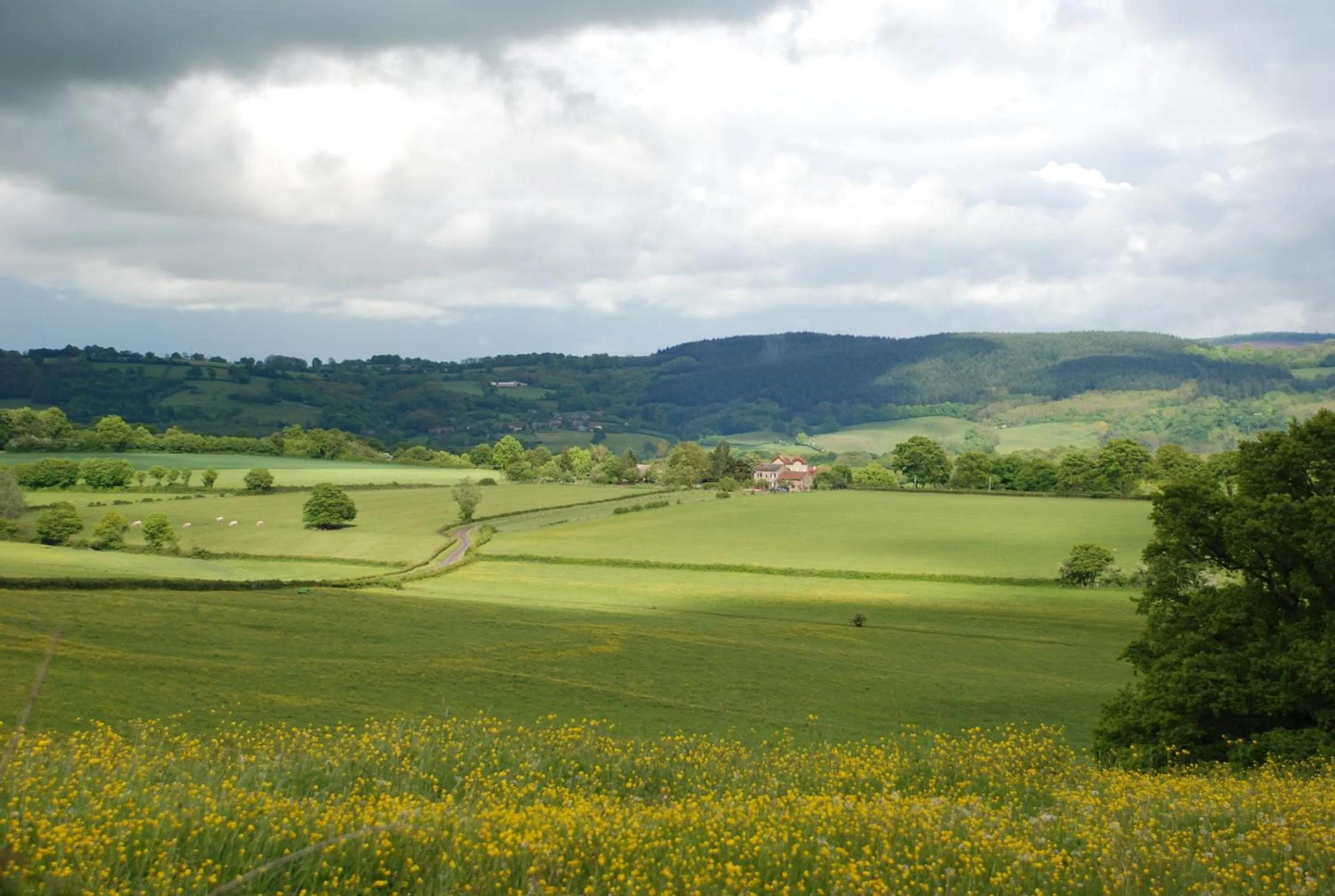 View (from property/room) in La Lisière du Morvan