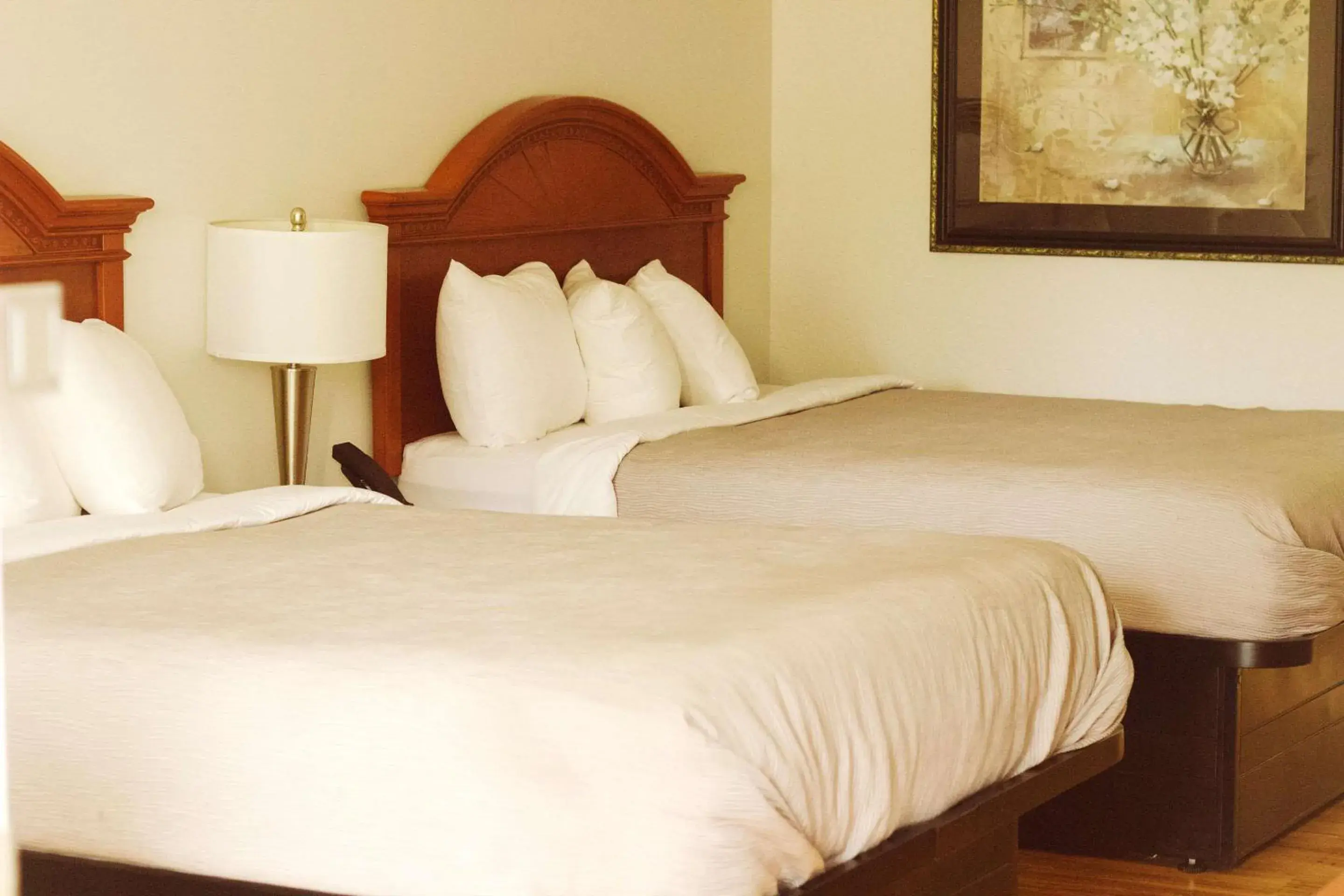 Bedroom, Bed in Quality Inn near Chattanooga South Bedroom, Bed in Quality Inn near Chattanooga South