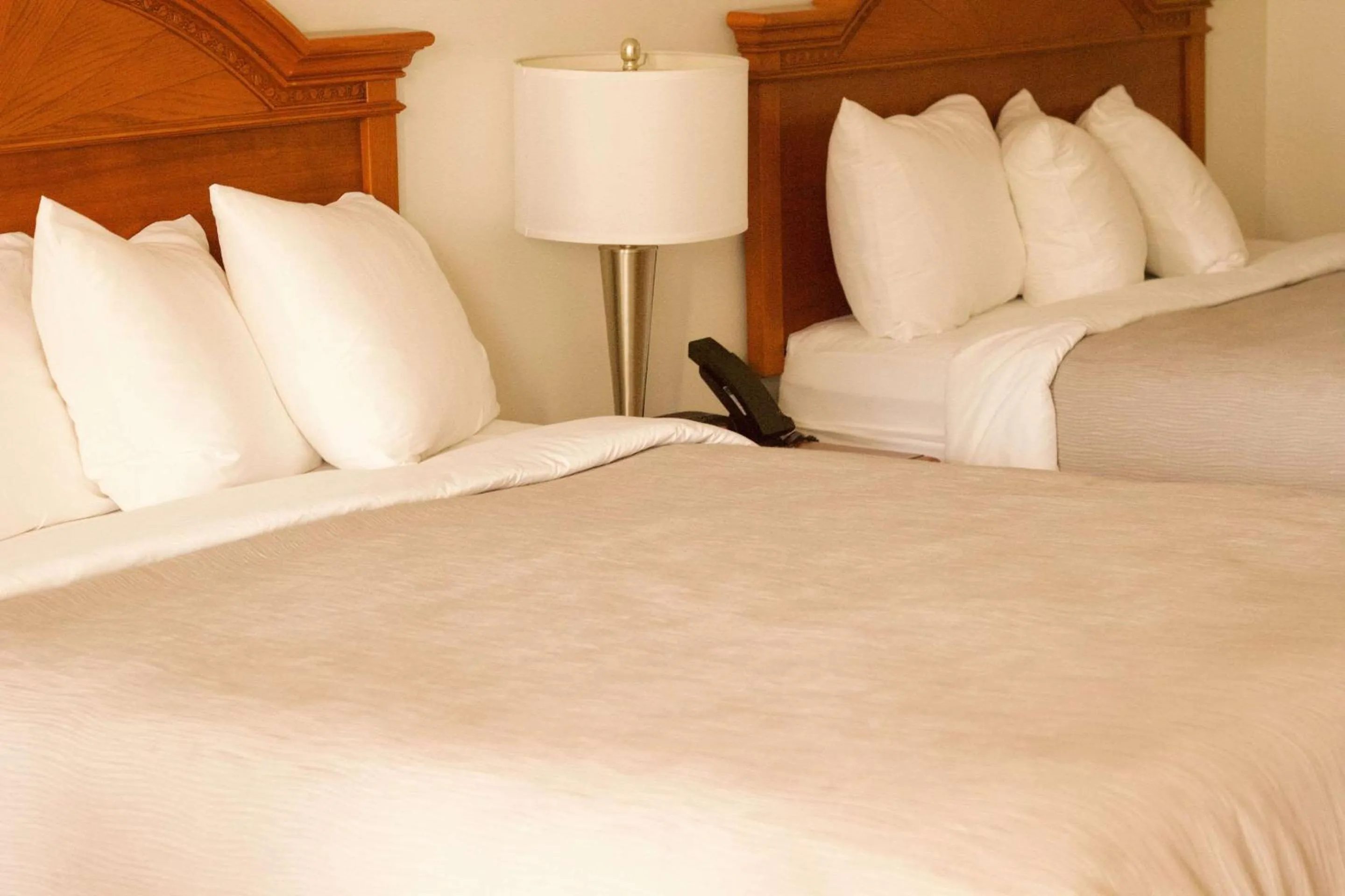 Bedroom, Bed in Quality Inn near Chattanooga South