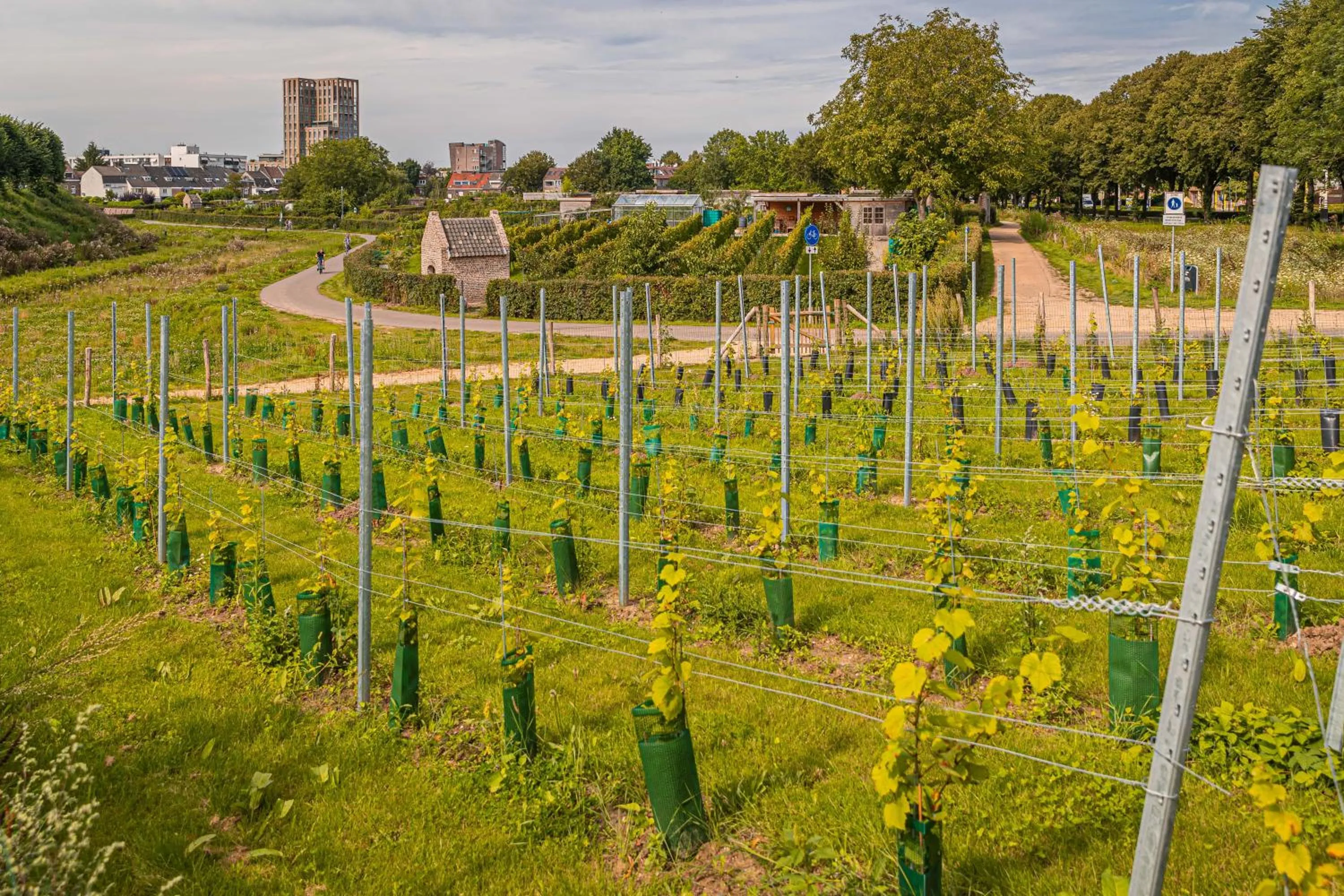 Day in DoubleTree by Hilton Sittard