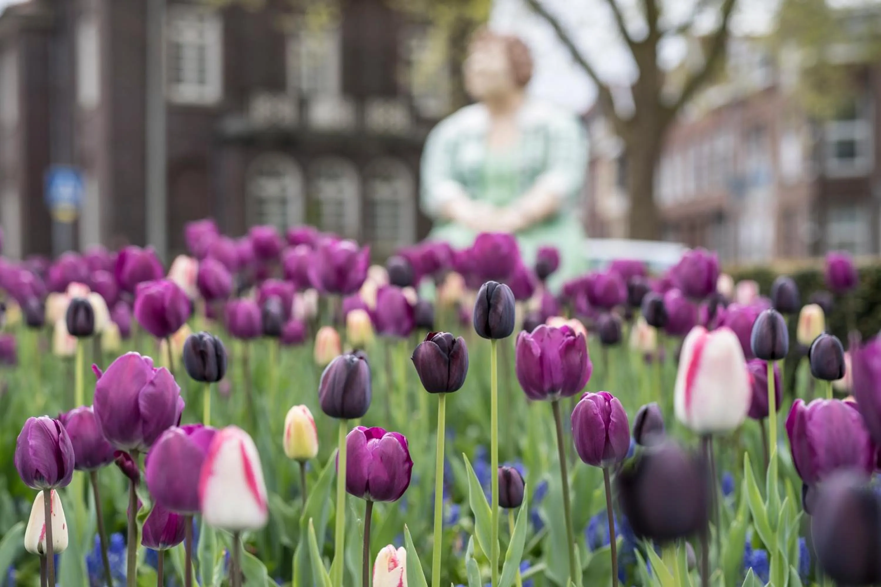 Nearby landmark in DoubleTree by Hilton Sittard