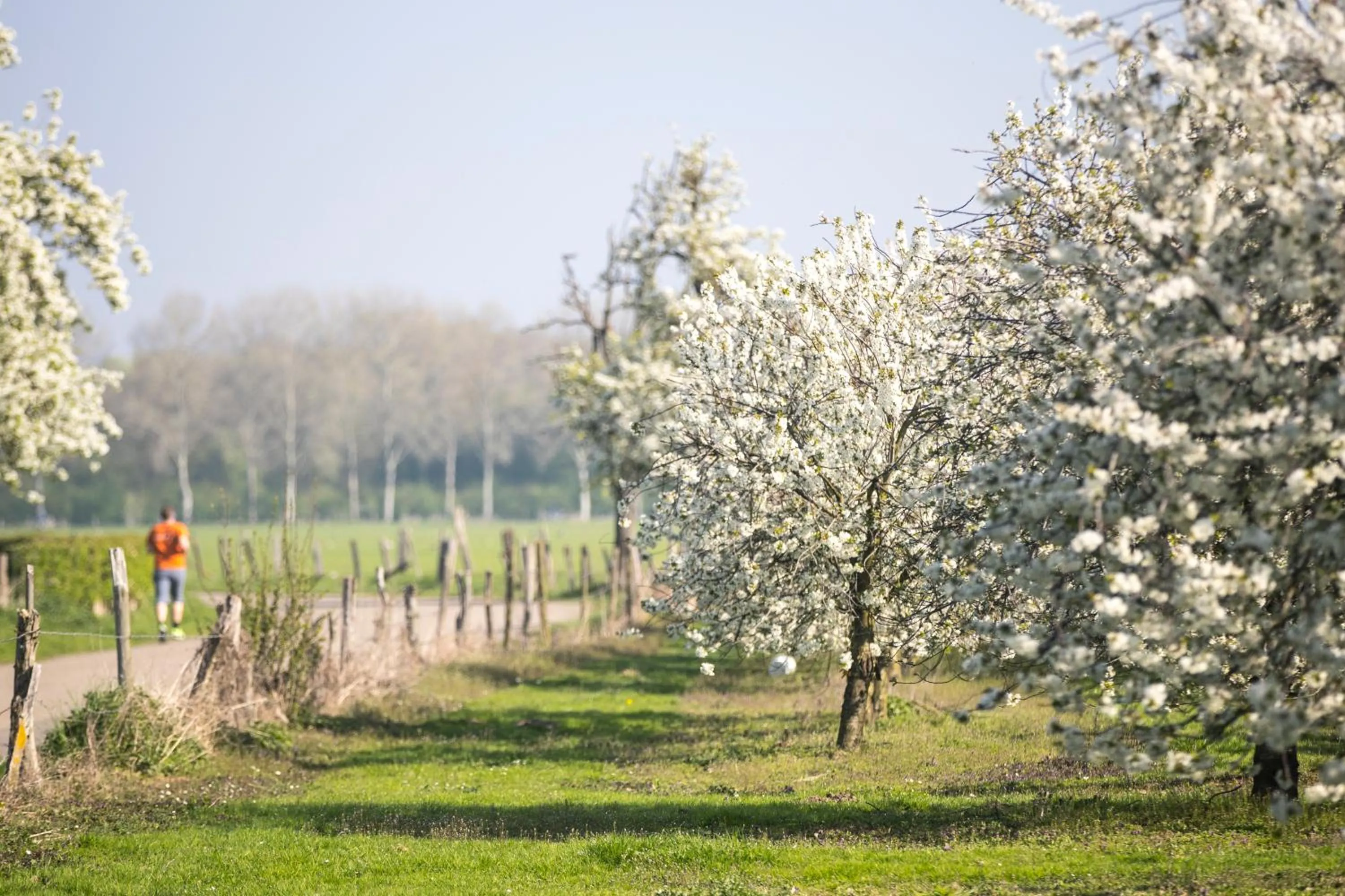 Spring in DoubleTree by Hilton Sittard