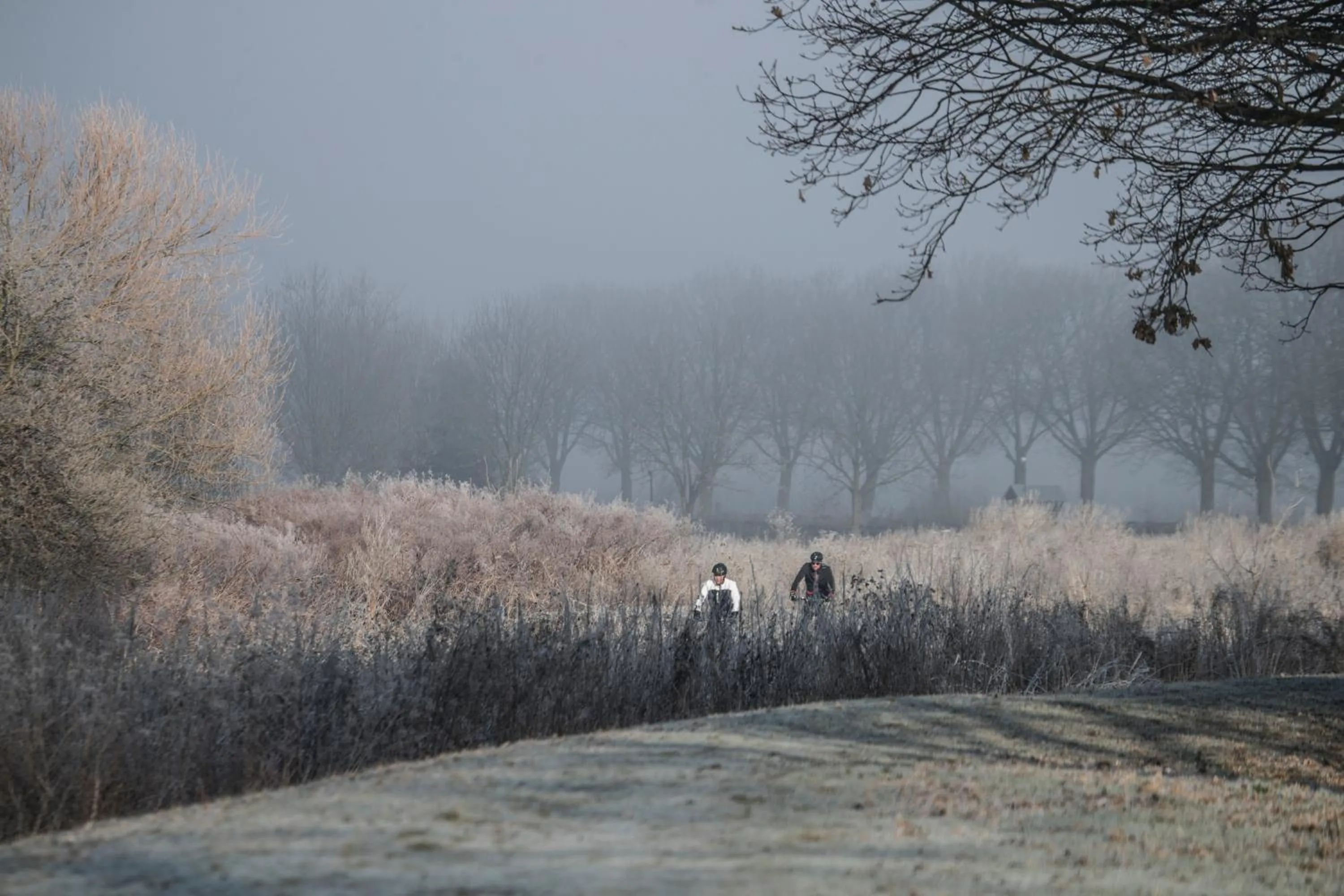 Neighbourhood in DoubleTree by Hilton Sittard