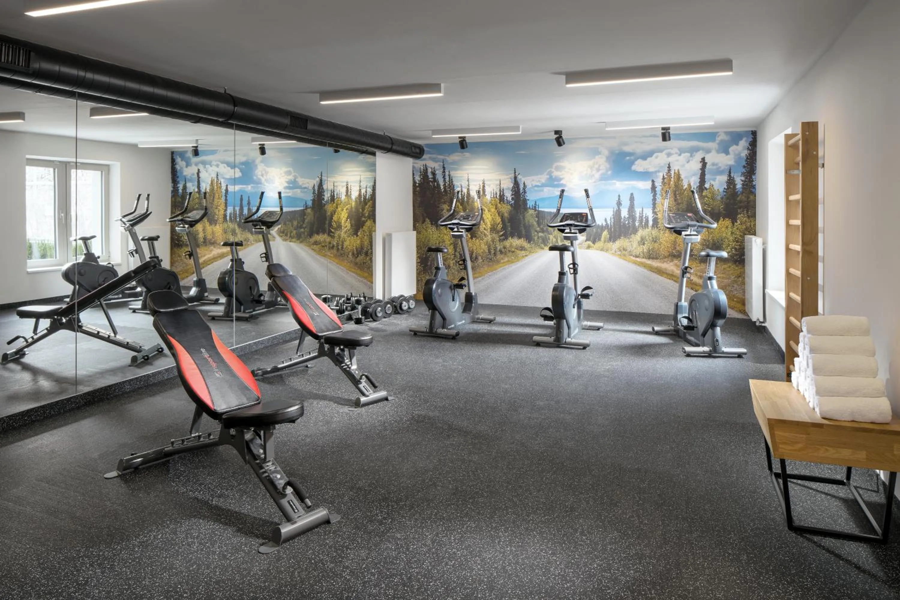 Fitness centre/facilities in Comfort Hotel Prague City