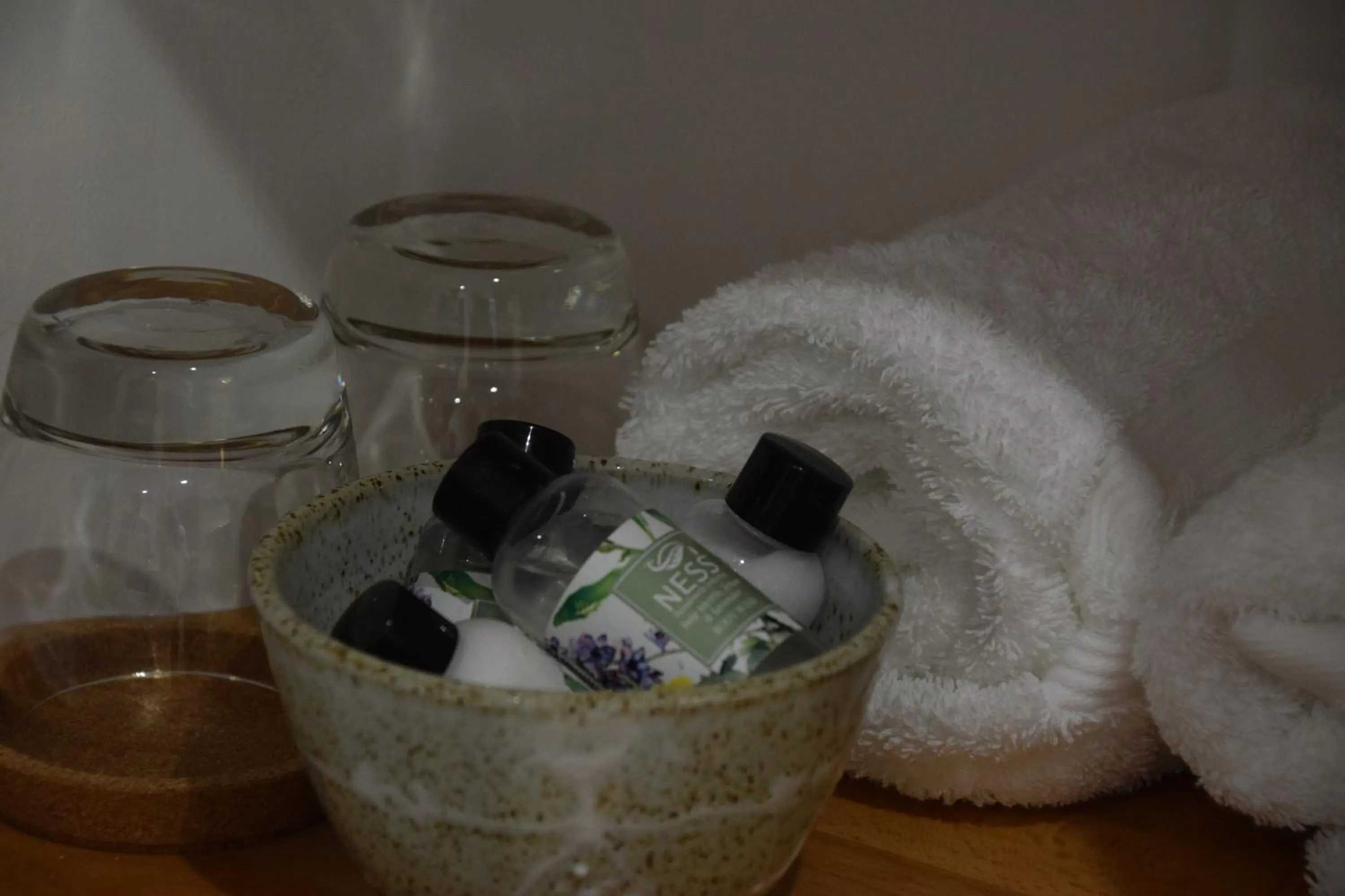 Saplinbrae Hotel and Lodges