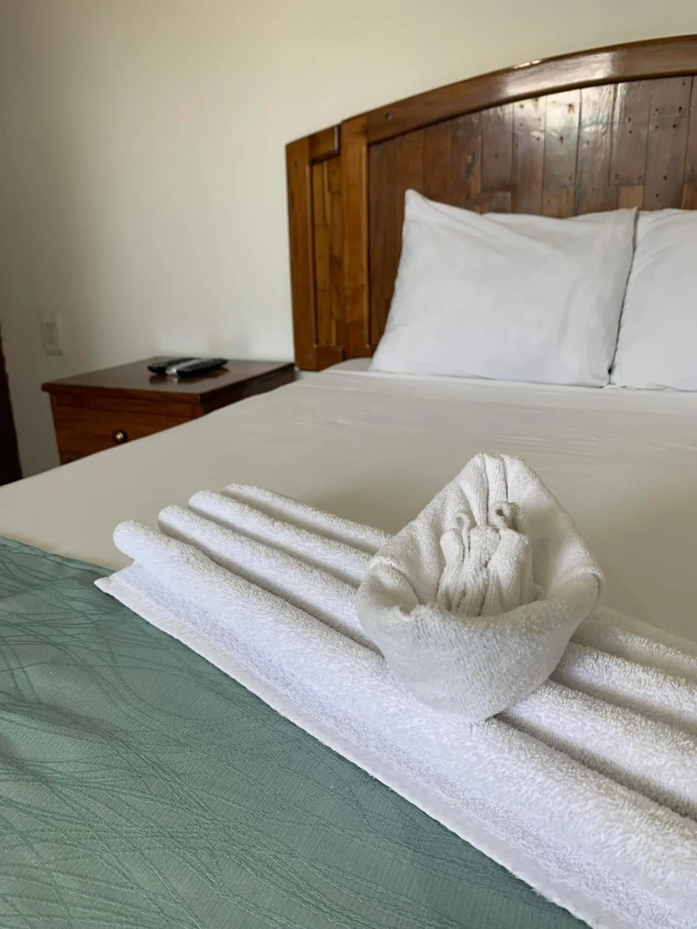 Economy Double Room in Casa calendario azteca Economy Double Room in Casa calendario azteca