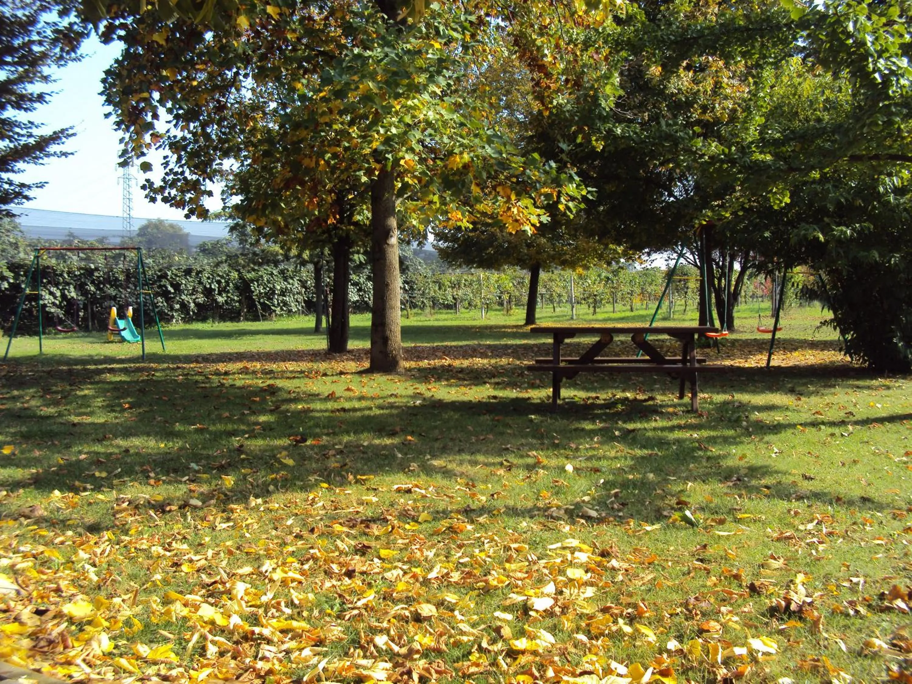 Garden in Agriturismo Sant' Anna