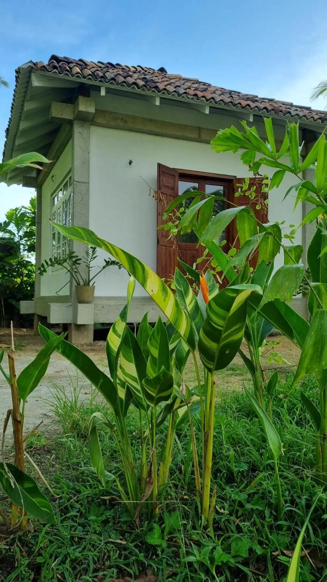 Garden in Colive Ahangama