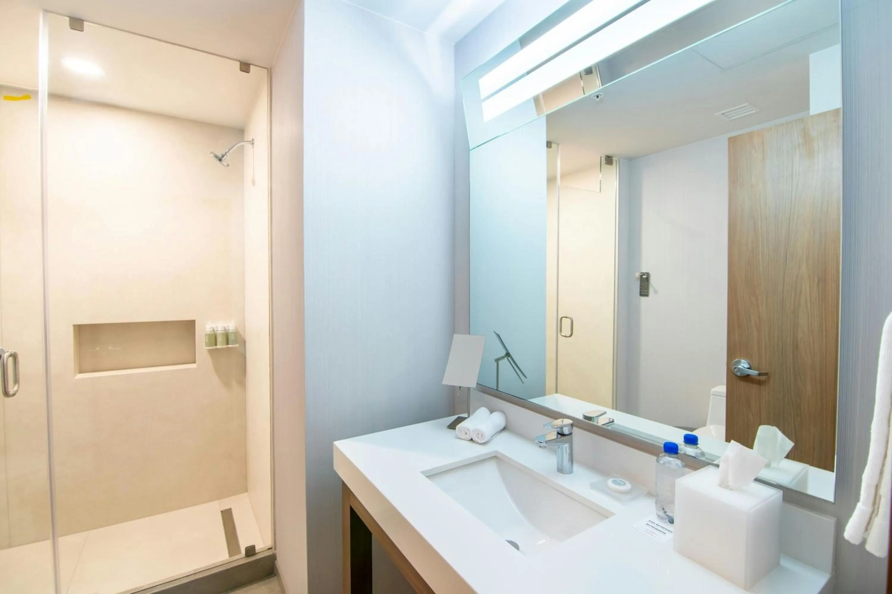 Bathroom in Courtyard by Marriott Mexicali