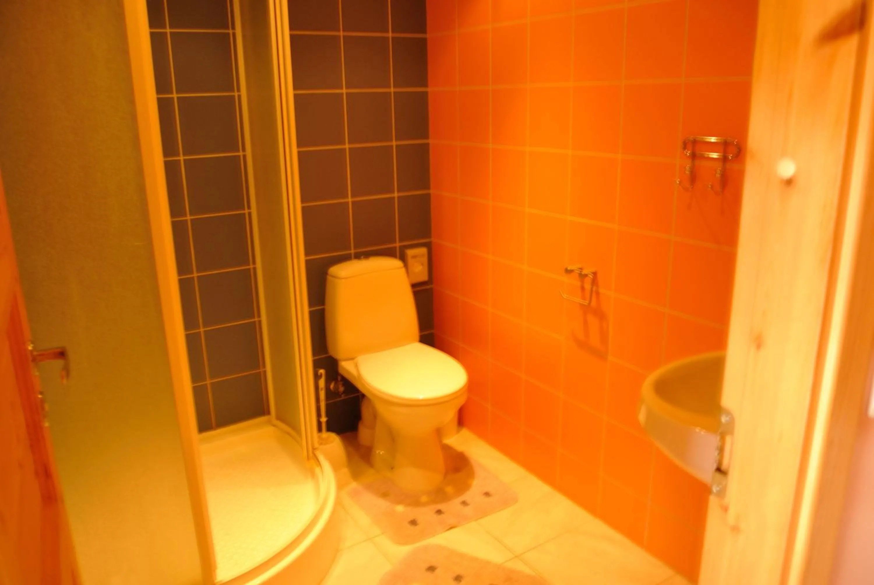 Bathroom in Jaani Puhkemaja