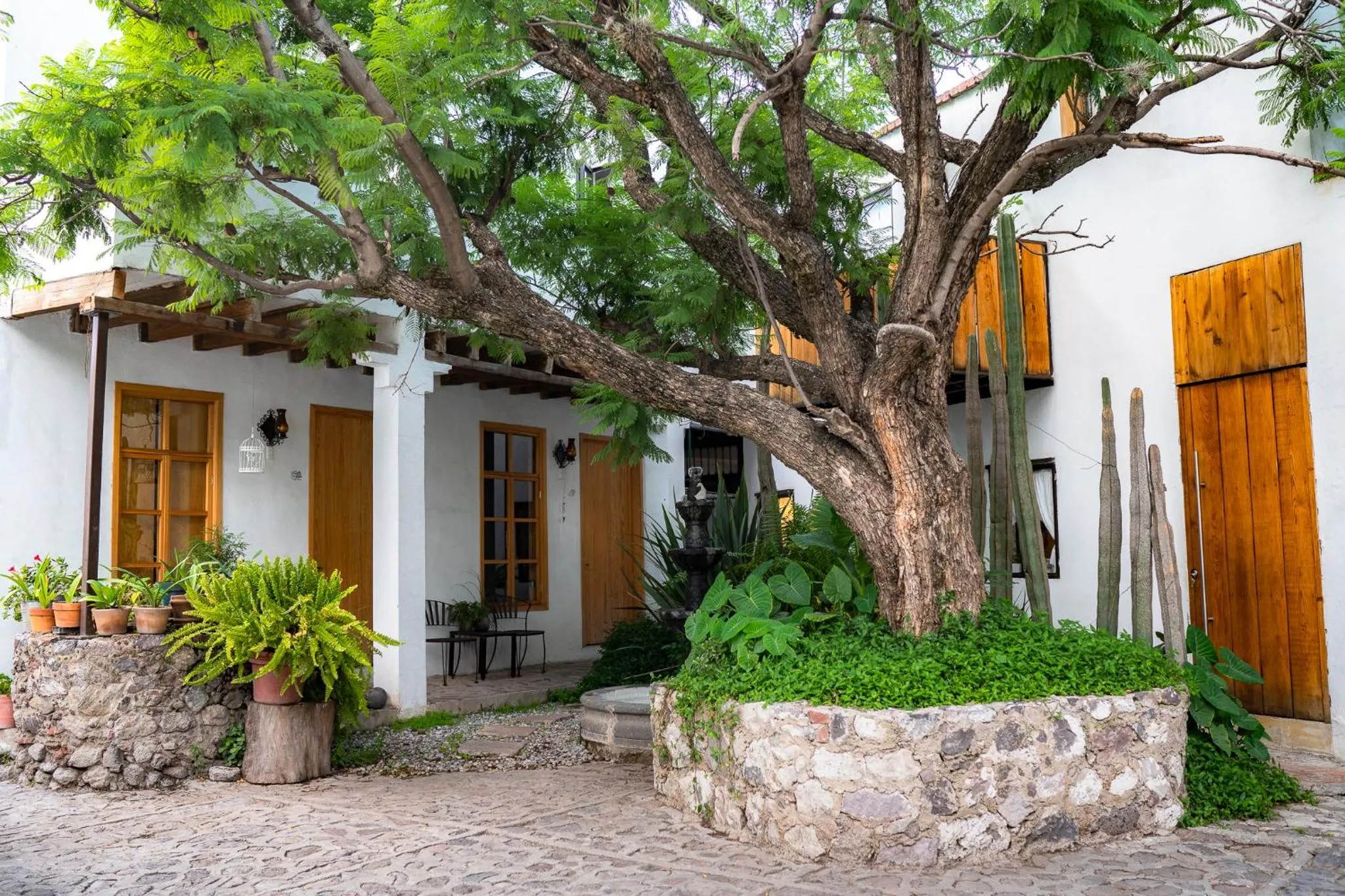 Patio in Posada Colibri - Hotel & Spa