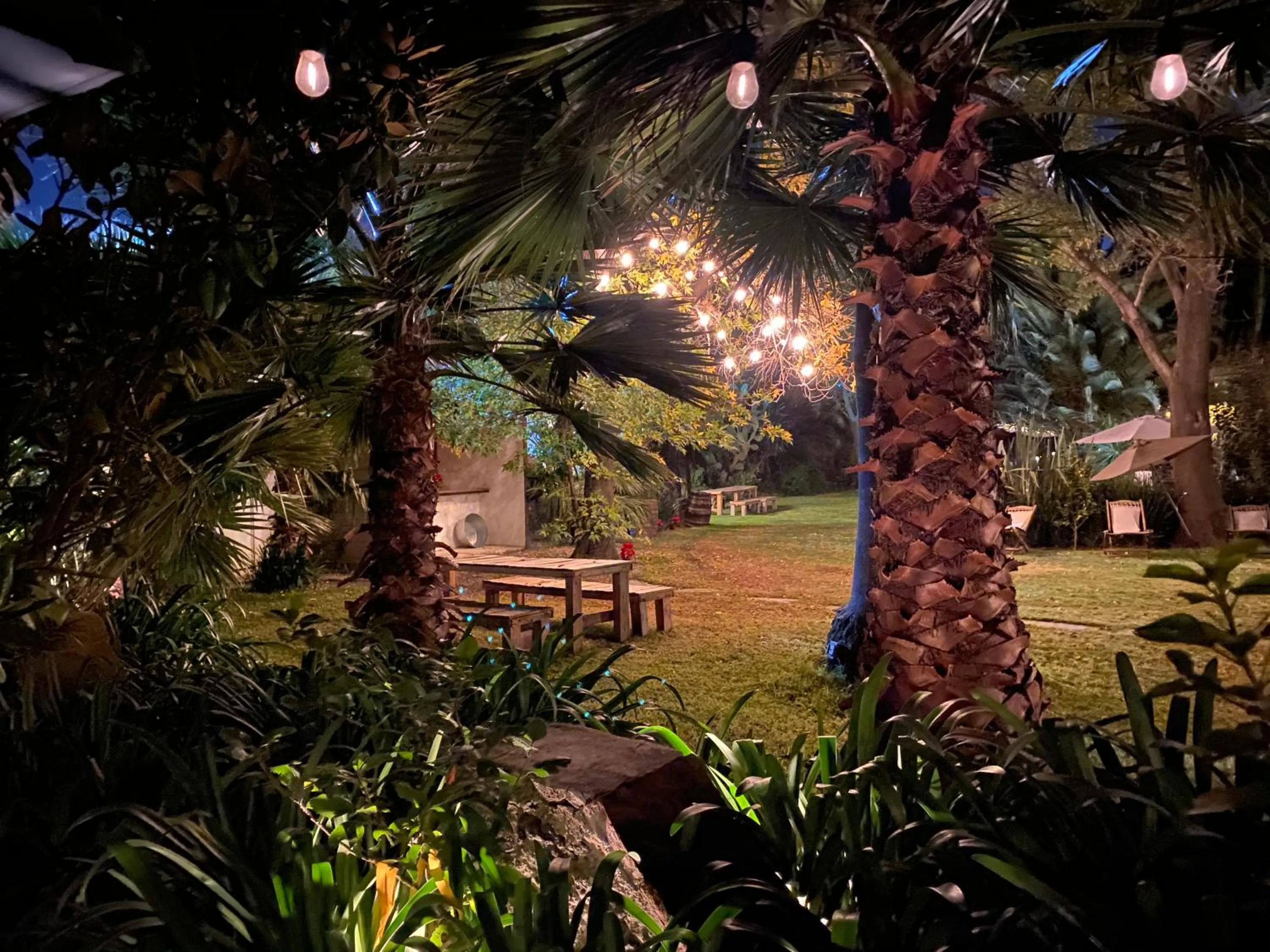 Garden in Posada Colibri - Hotel & Spa