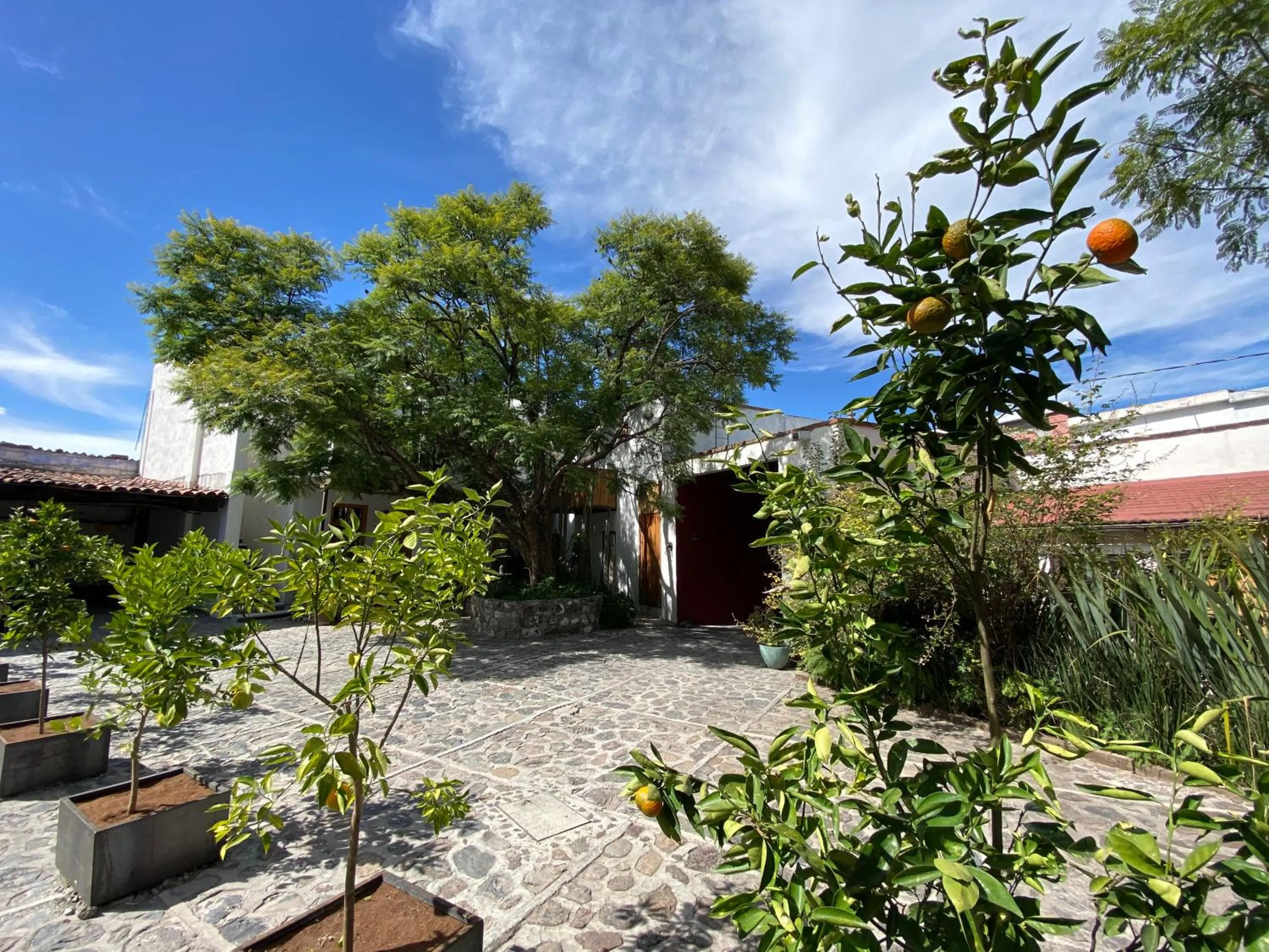 Patio in Posada Colibri - Hotel & Spa