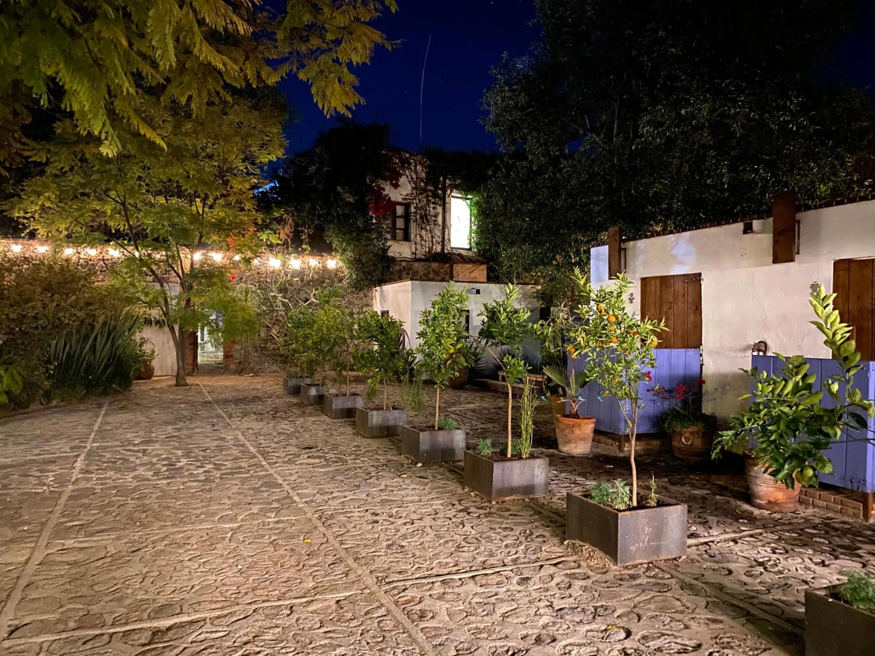 Patio in Posada Colibri - Hotel & Spa