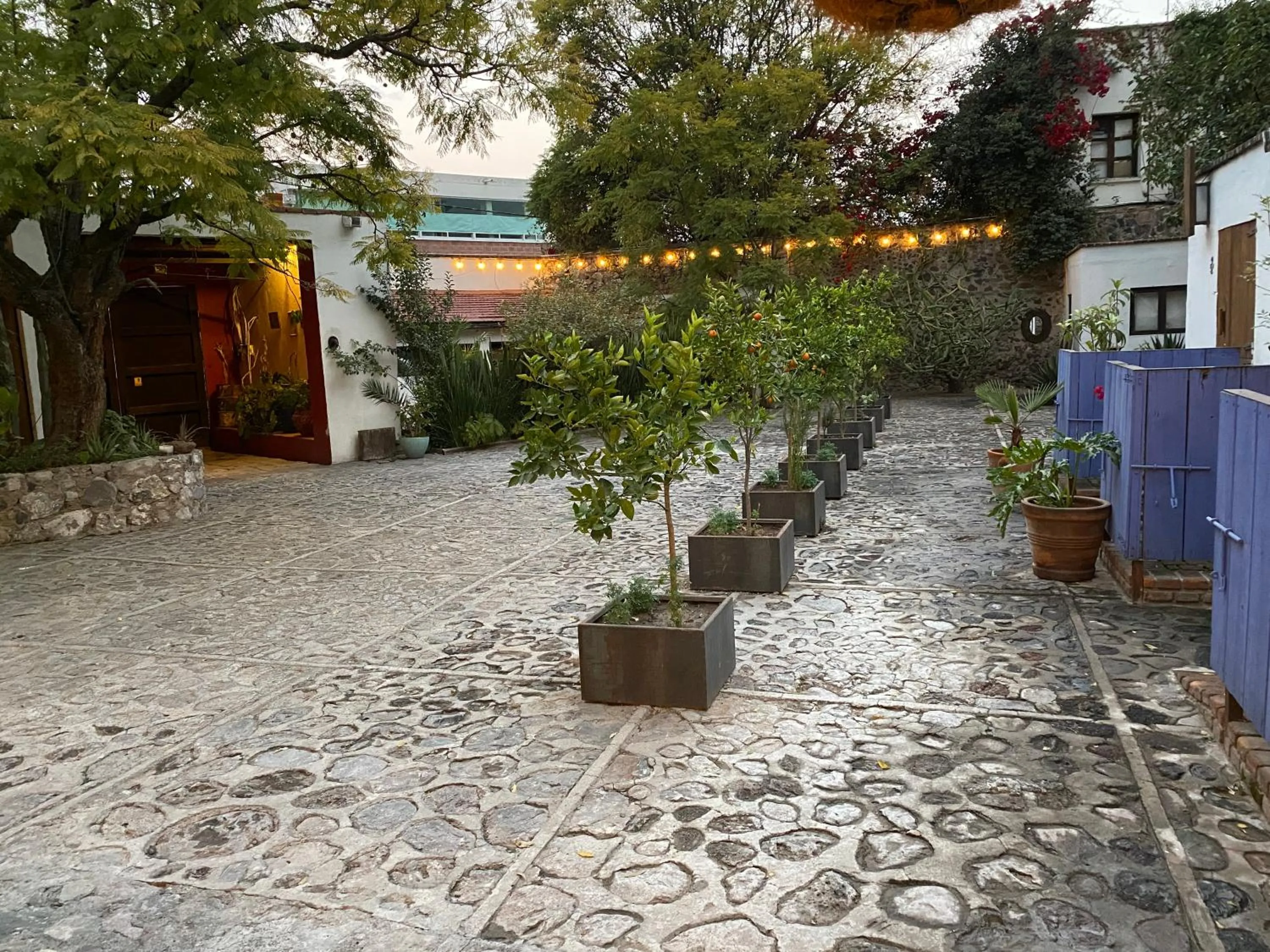 Patio in Posada Colibri - Hotel & Spa