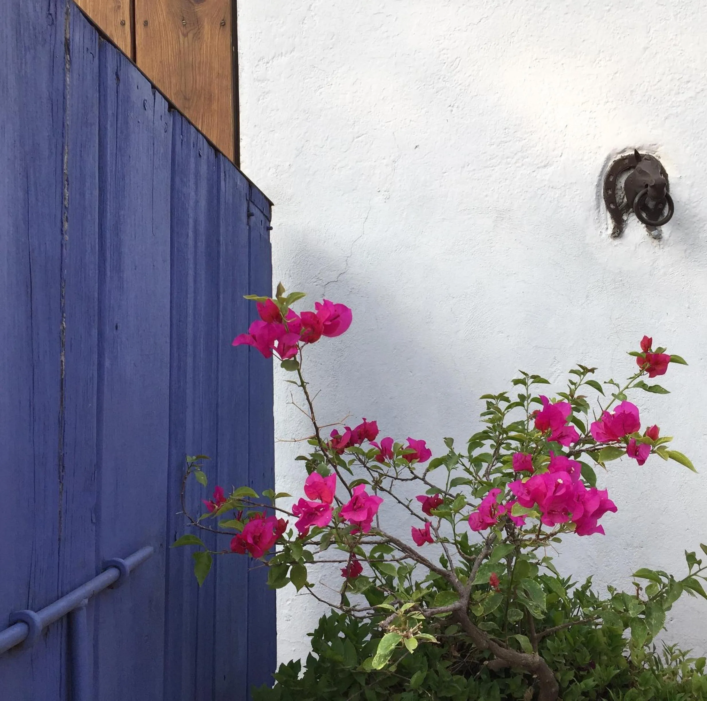 Patio in Posada Colibri - Hotel & Spa