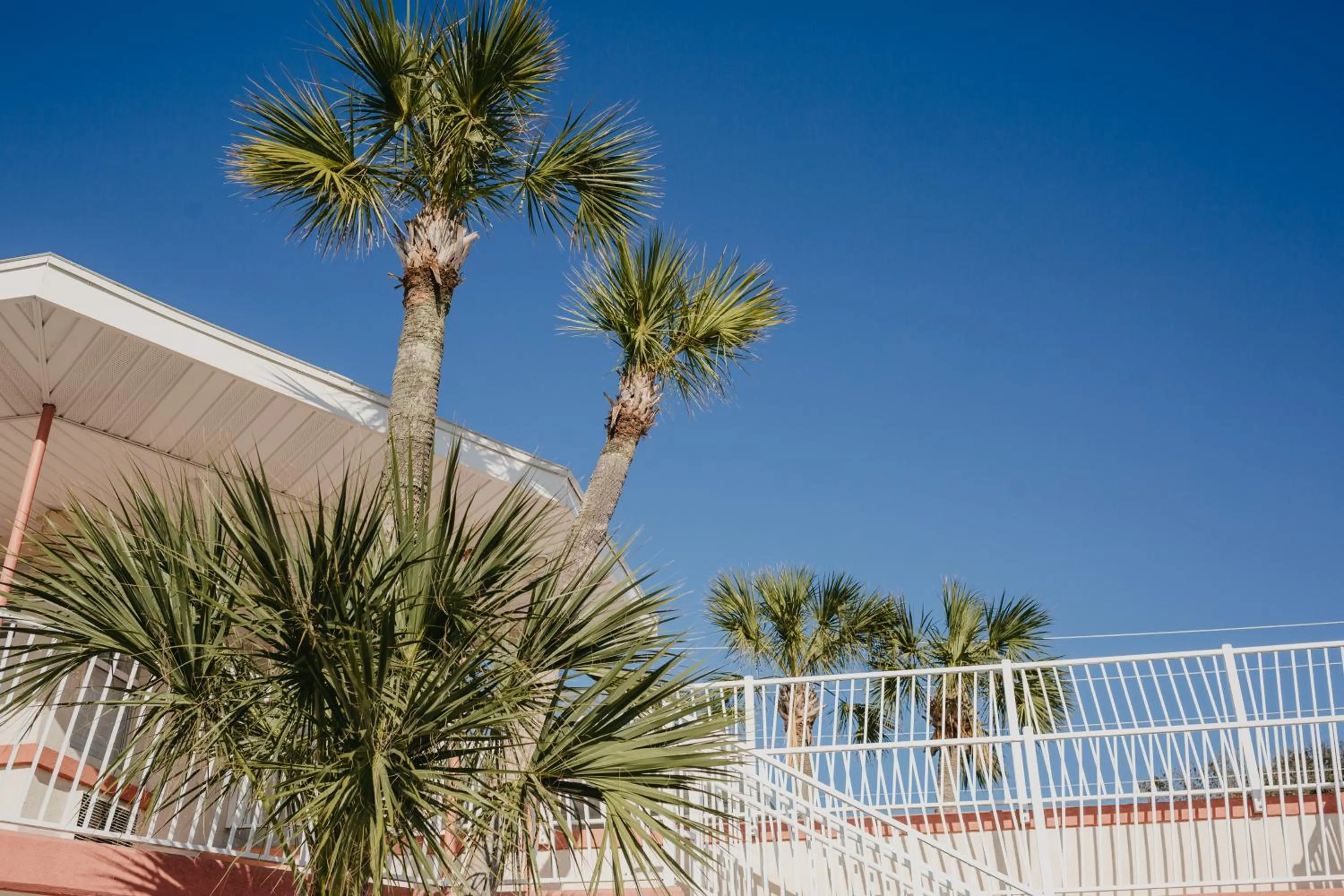 Property building in The Local - St. Augustine