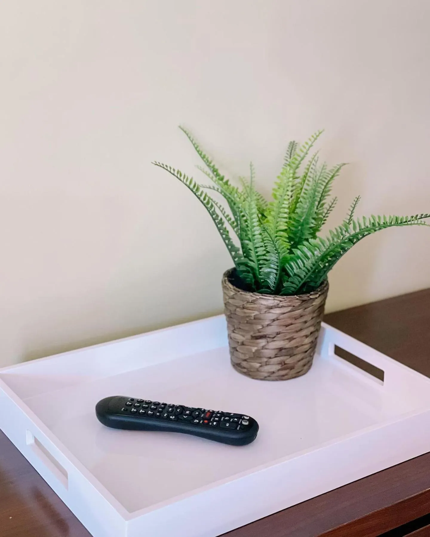 Entertainment in The Local - St. Augustine