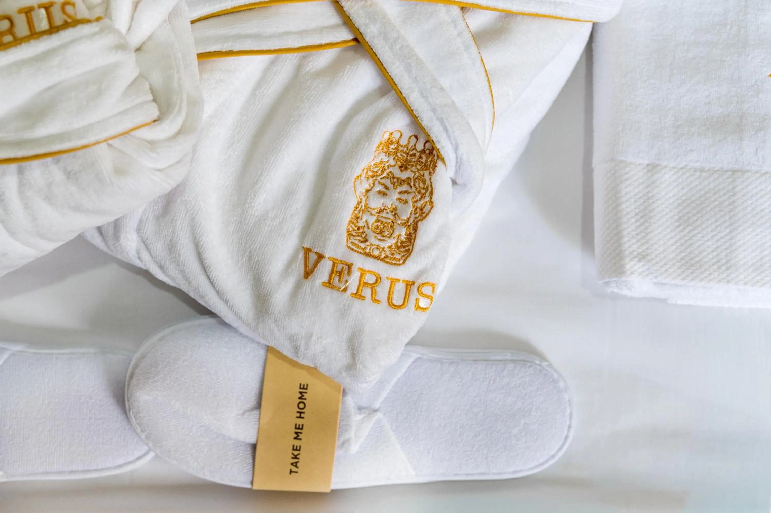 Decorative detail in Verus Room