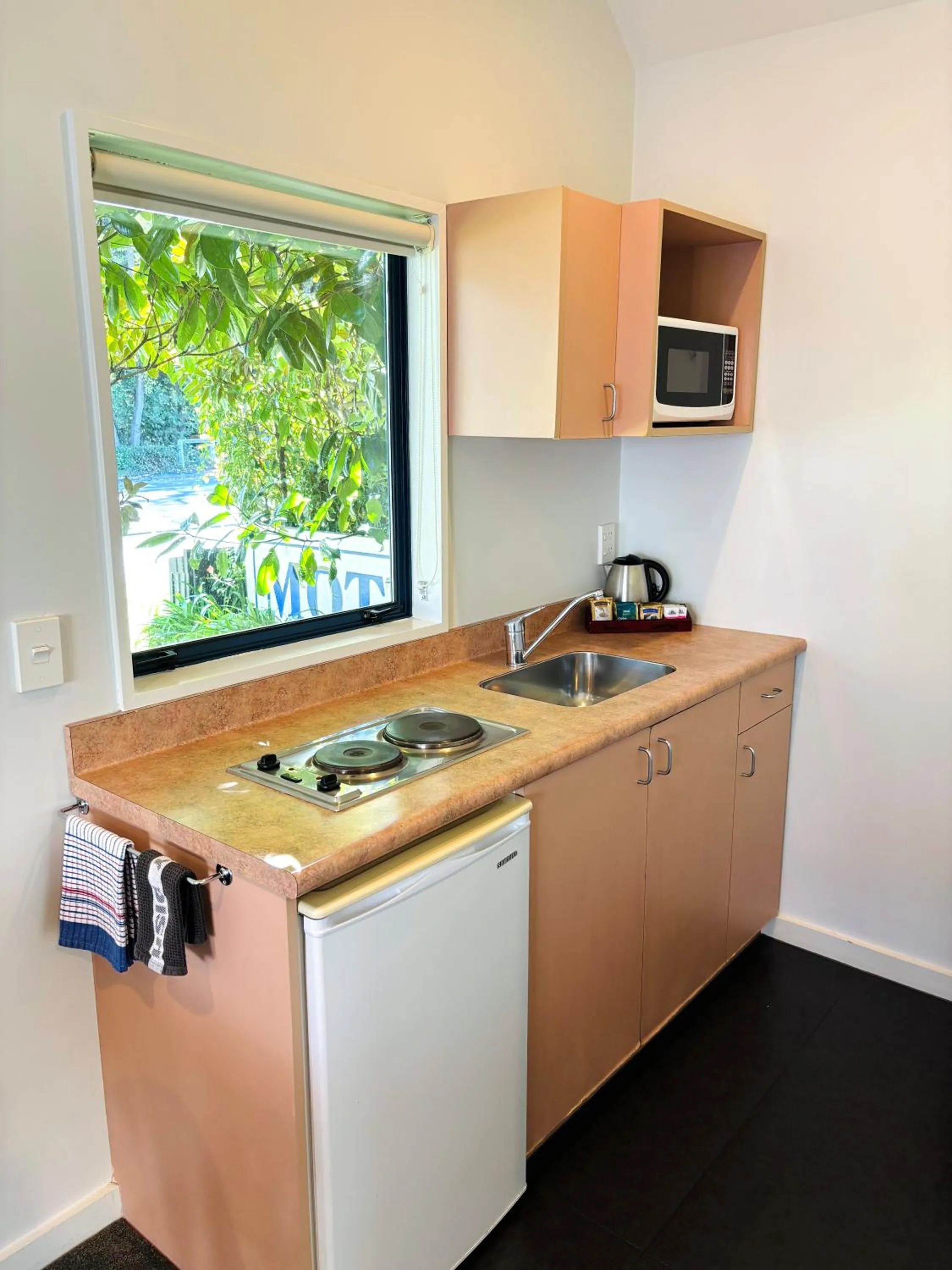 Kitchen or kitchenette in Bush Inn Court Motel