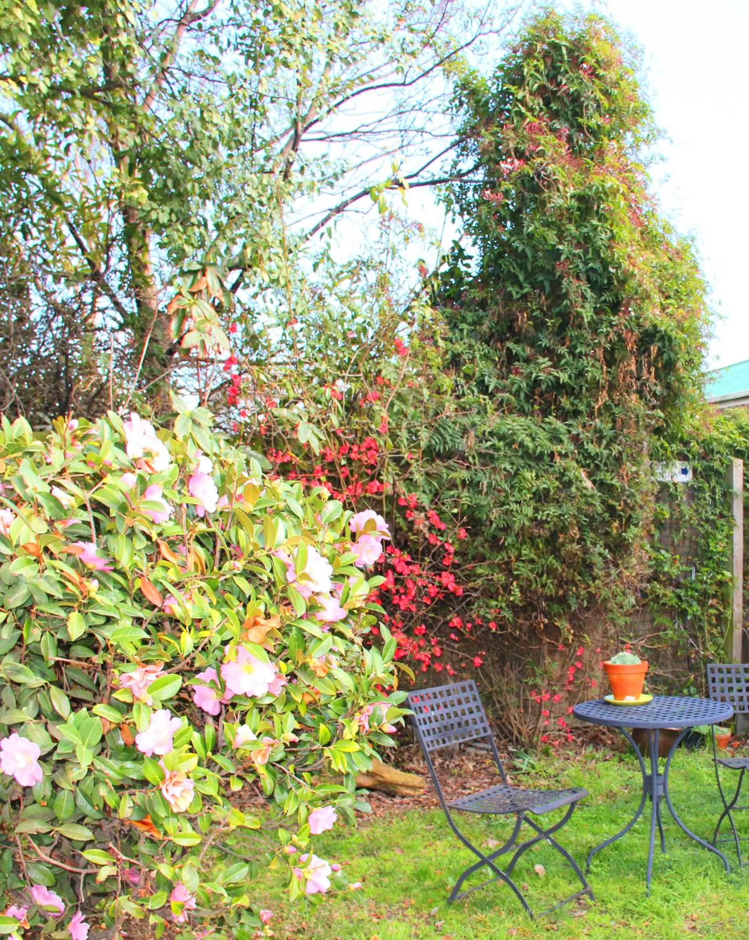 Garden in Bush Inn Court Motel